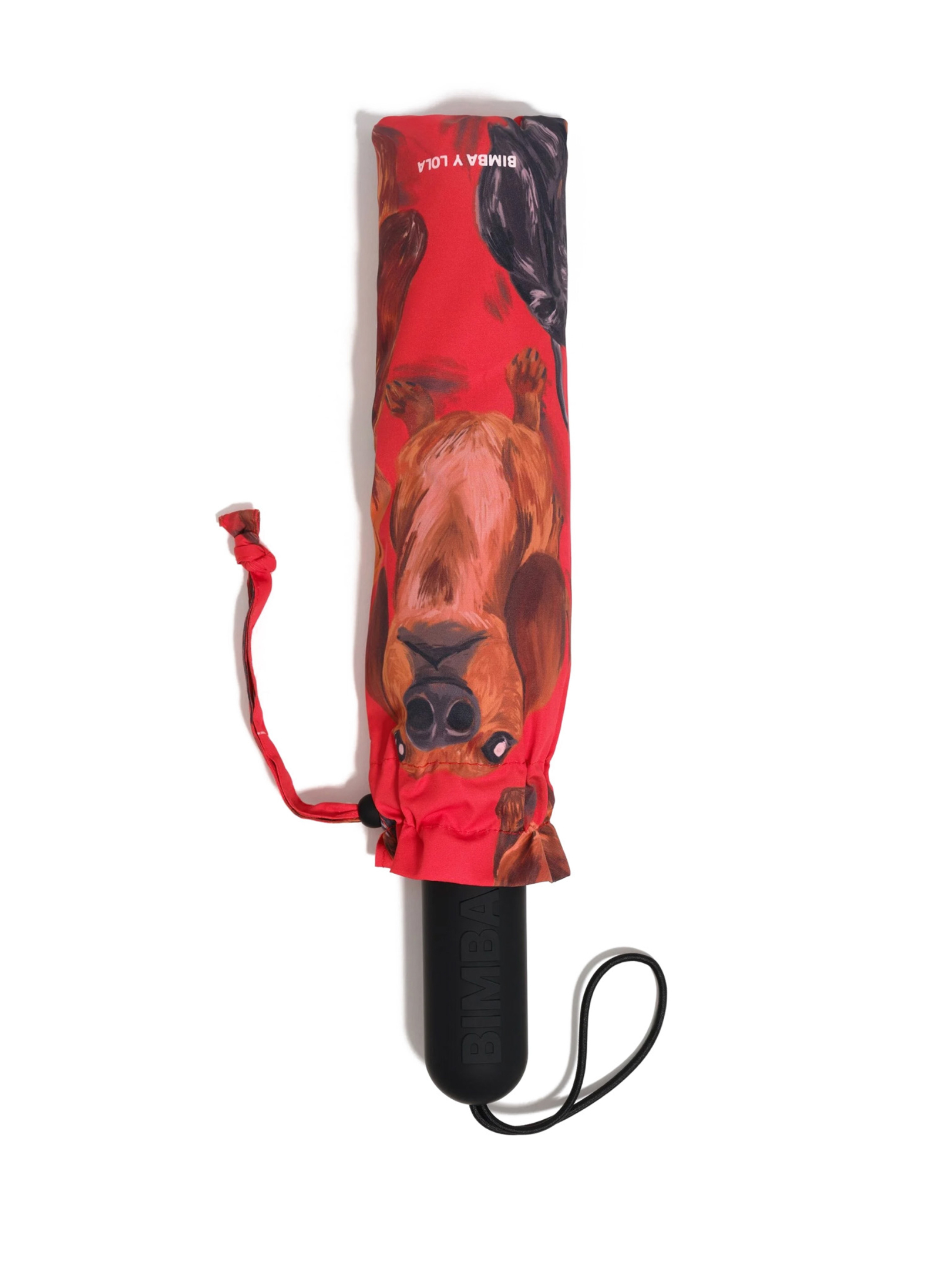 ΟΜΠΡΕΛΑ DACHSHUND 0