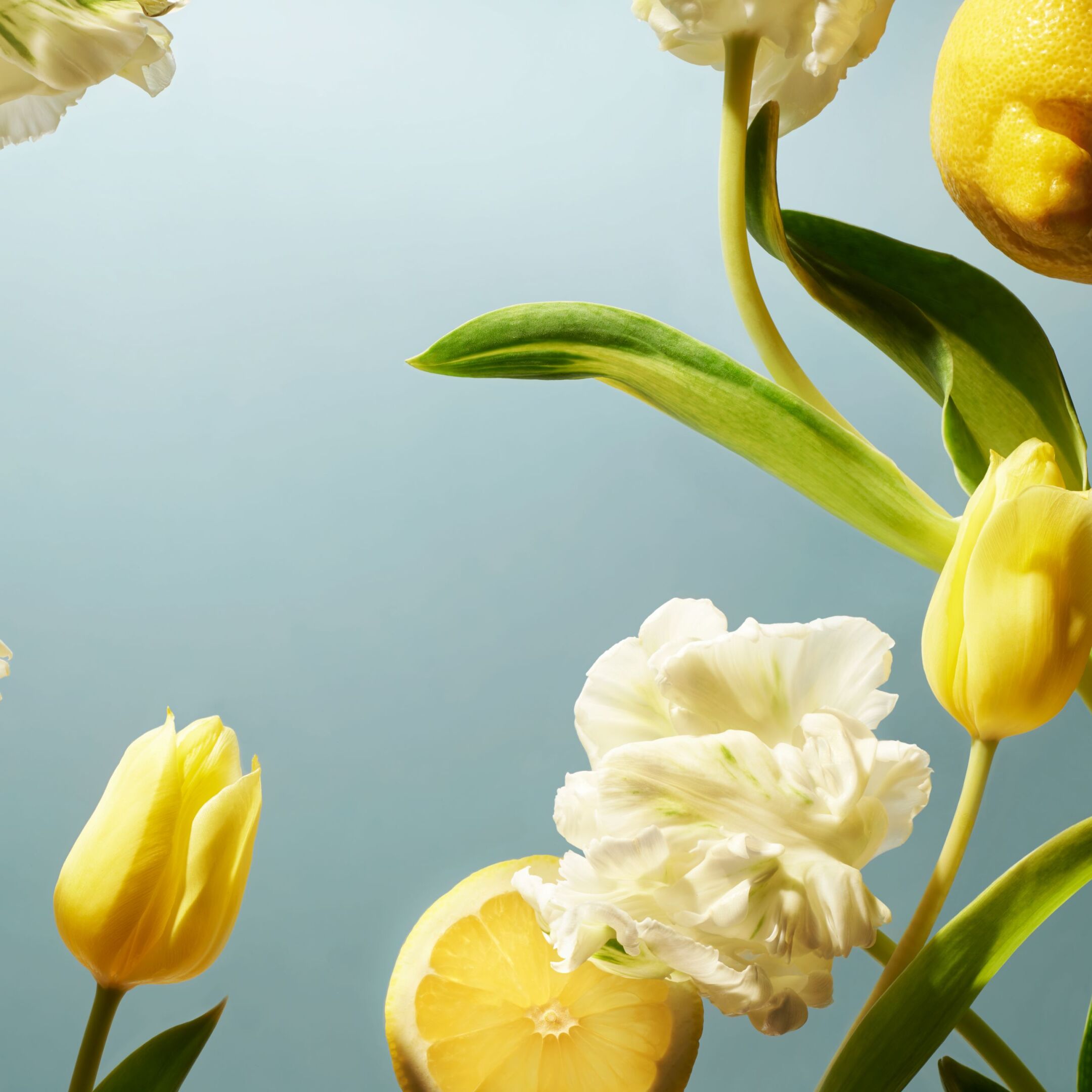 AMSTERDAM COLLECTION SCENTED CANDLE 3