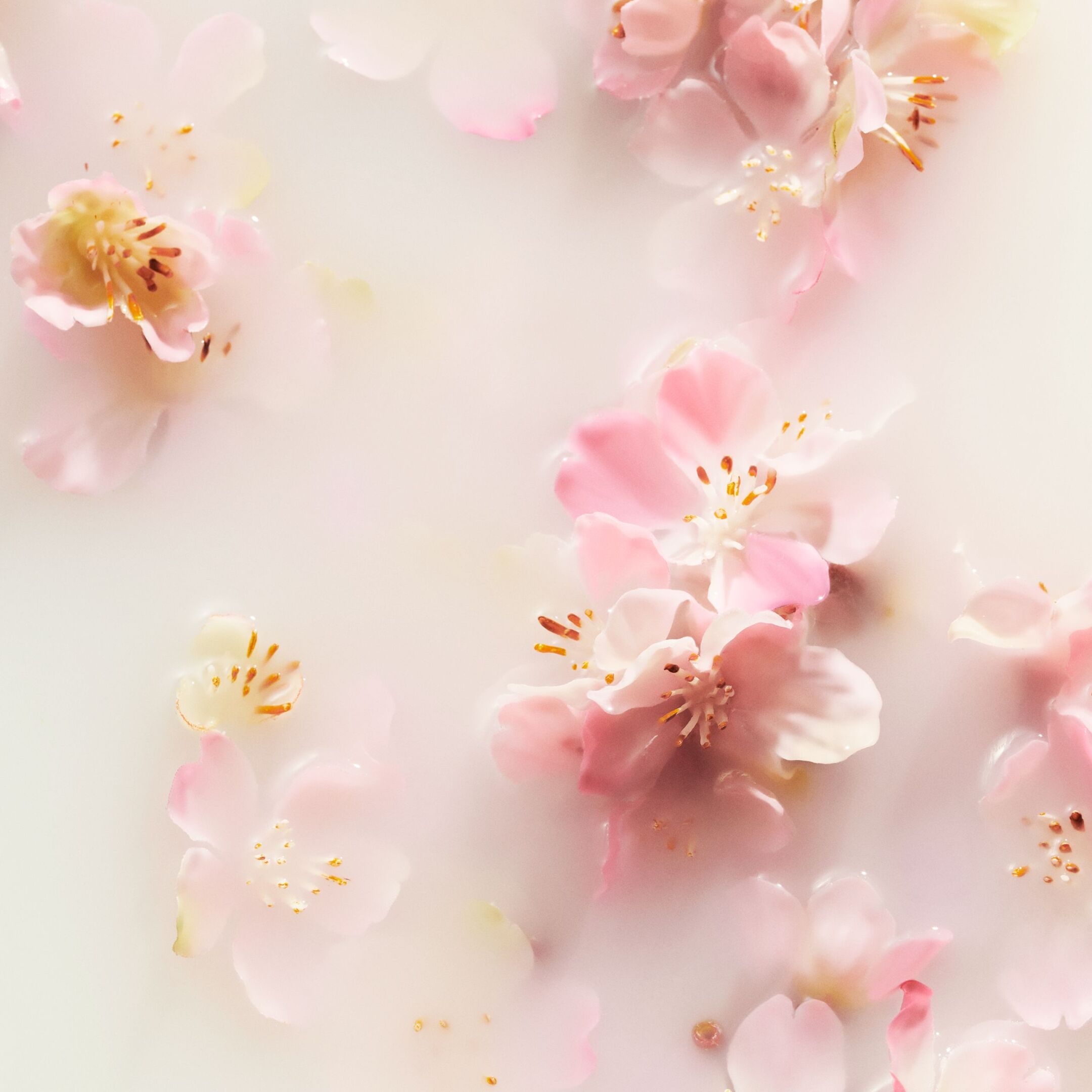 THE RITUAL OF SAKURA HAND BALM 2
