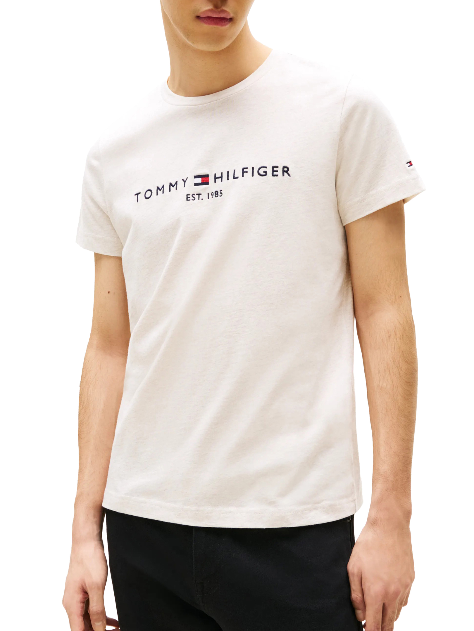 ΑΝΔΡΙΚΟ T-SHIRT ΜΕ ΛΟΓΟΤΥΠΟ 1
