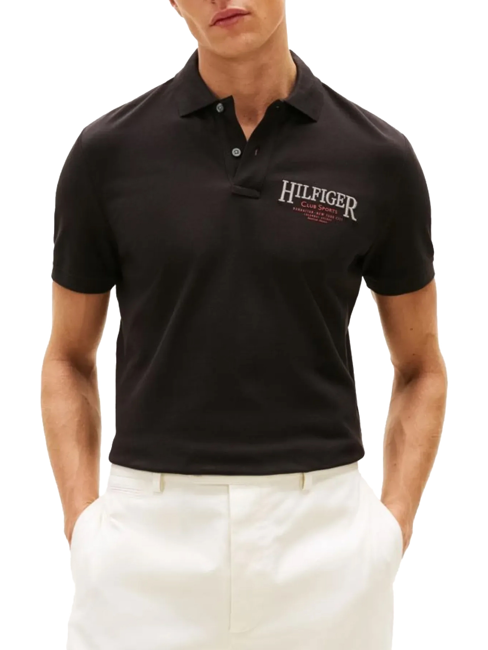 ΑΝΔΡΙΚΗ POLO ΜΠΛΟΥΖΑ 1