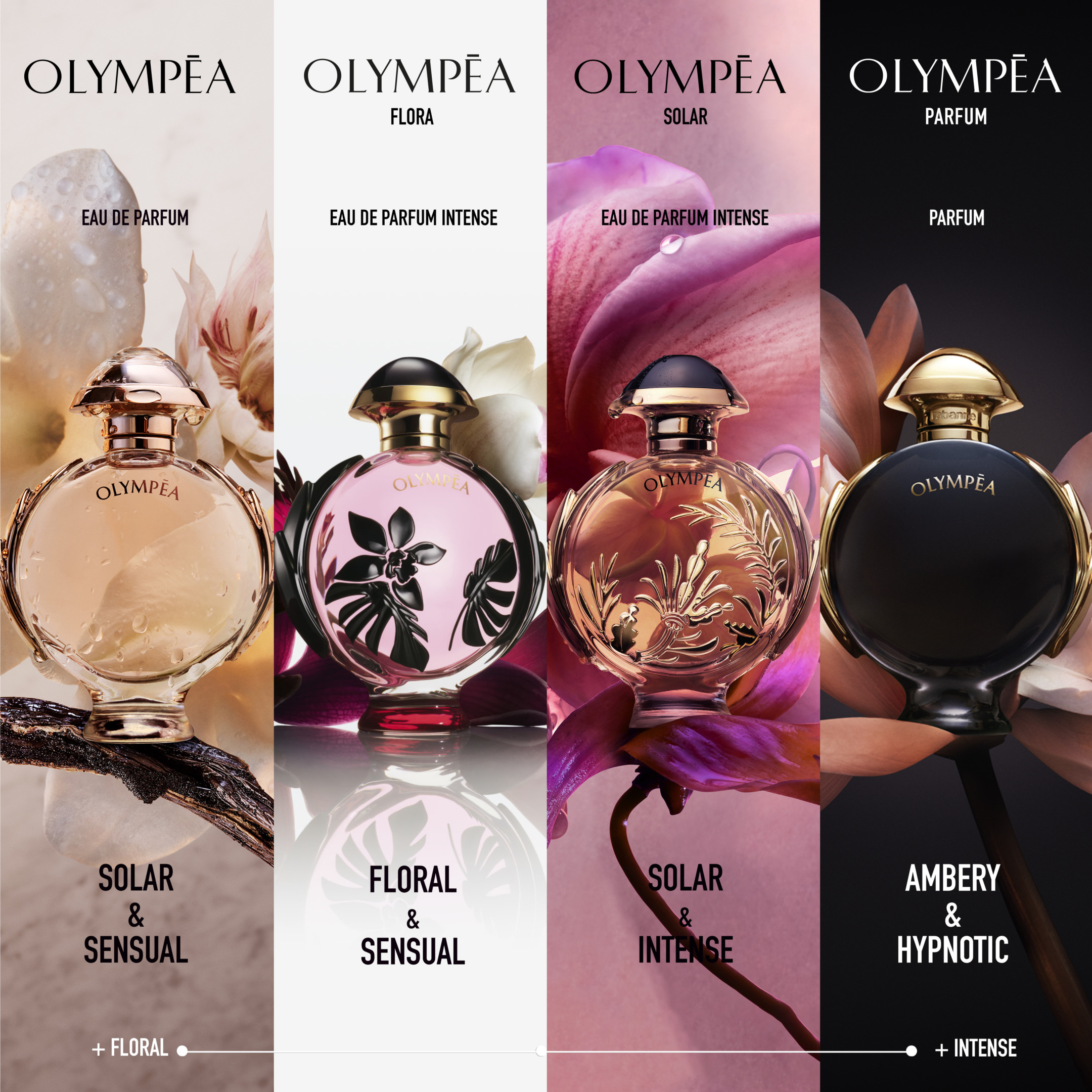 OLYMPÉA PARFUM 3