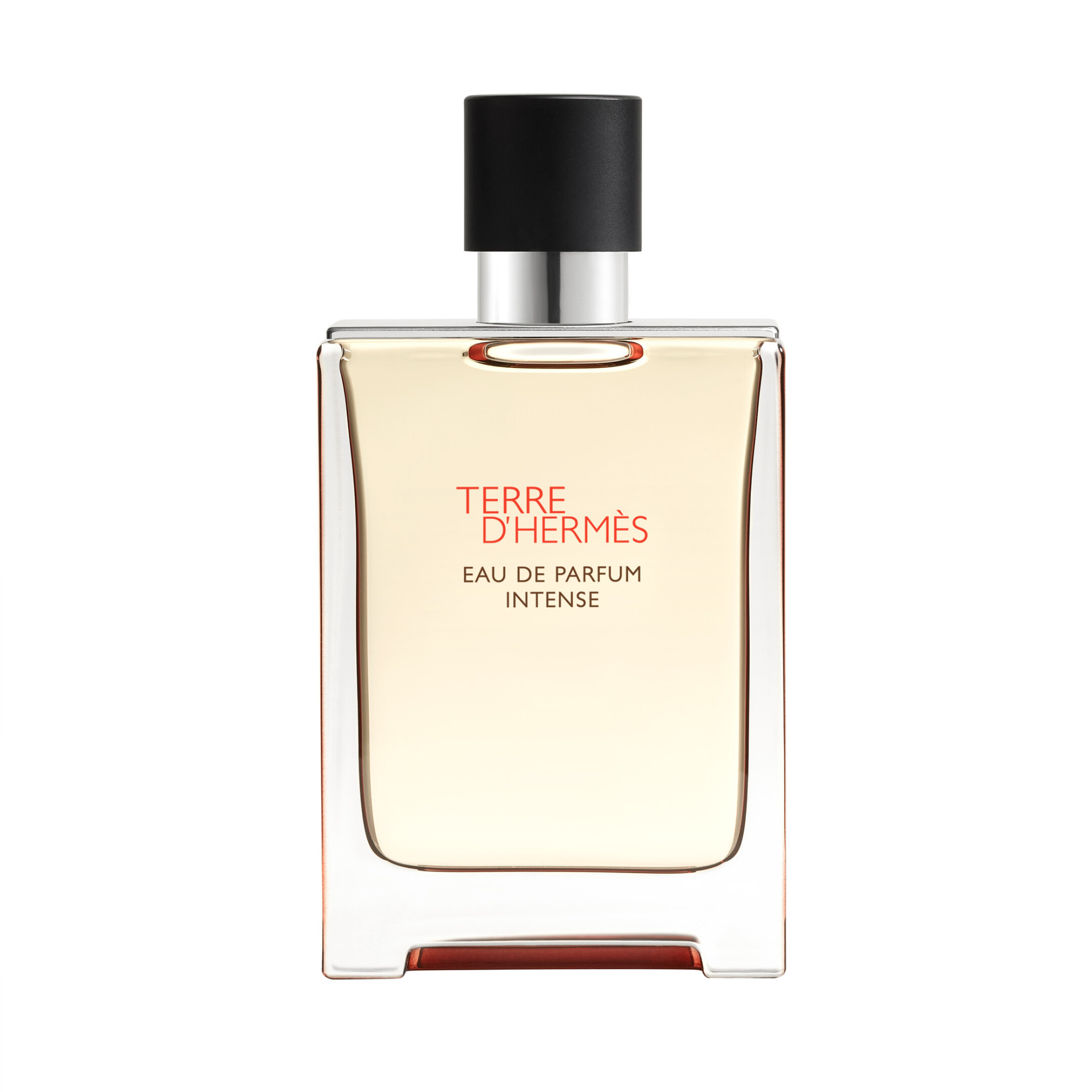 TERRE D'HERMÈS EAU DE PARFUM INTENSE 1