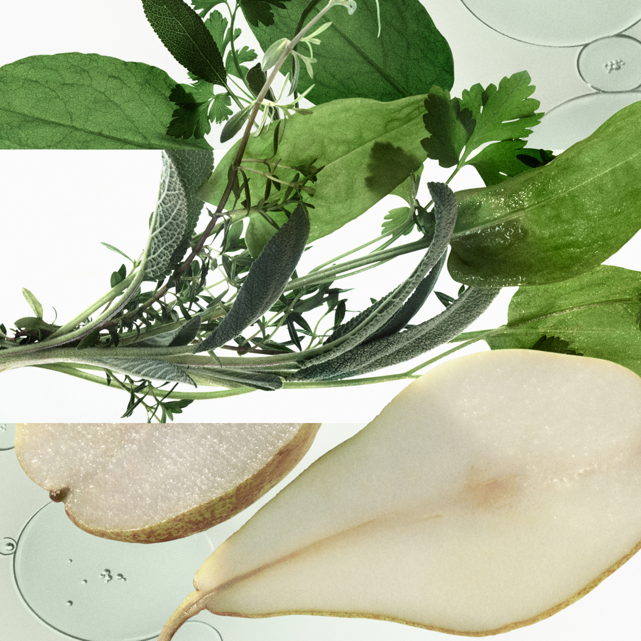 H24 HERBES VIVES EAU DE PARFUM 5