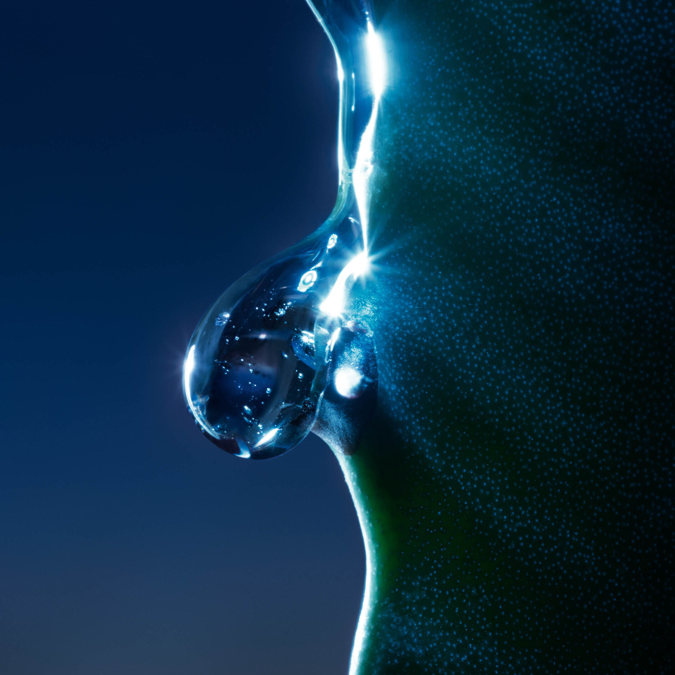 SAUVAGE THE TONER FACE TONER LOTION WITH CACTUS EXTRACT 2