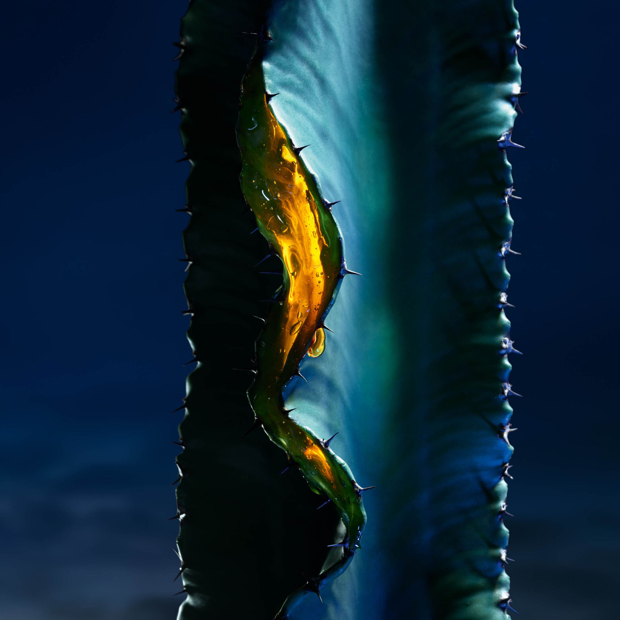 SAUVAGE THE SERUM FACE SERUM POWERED BY CACTUS 2