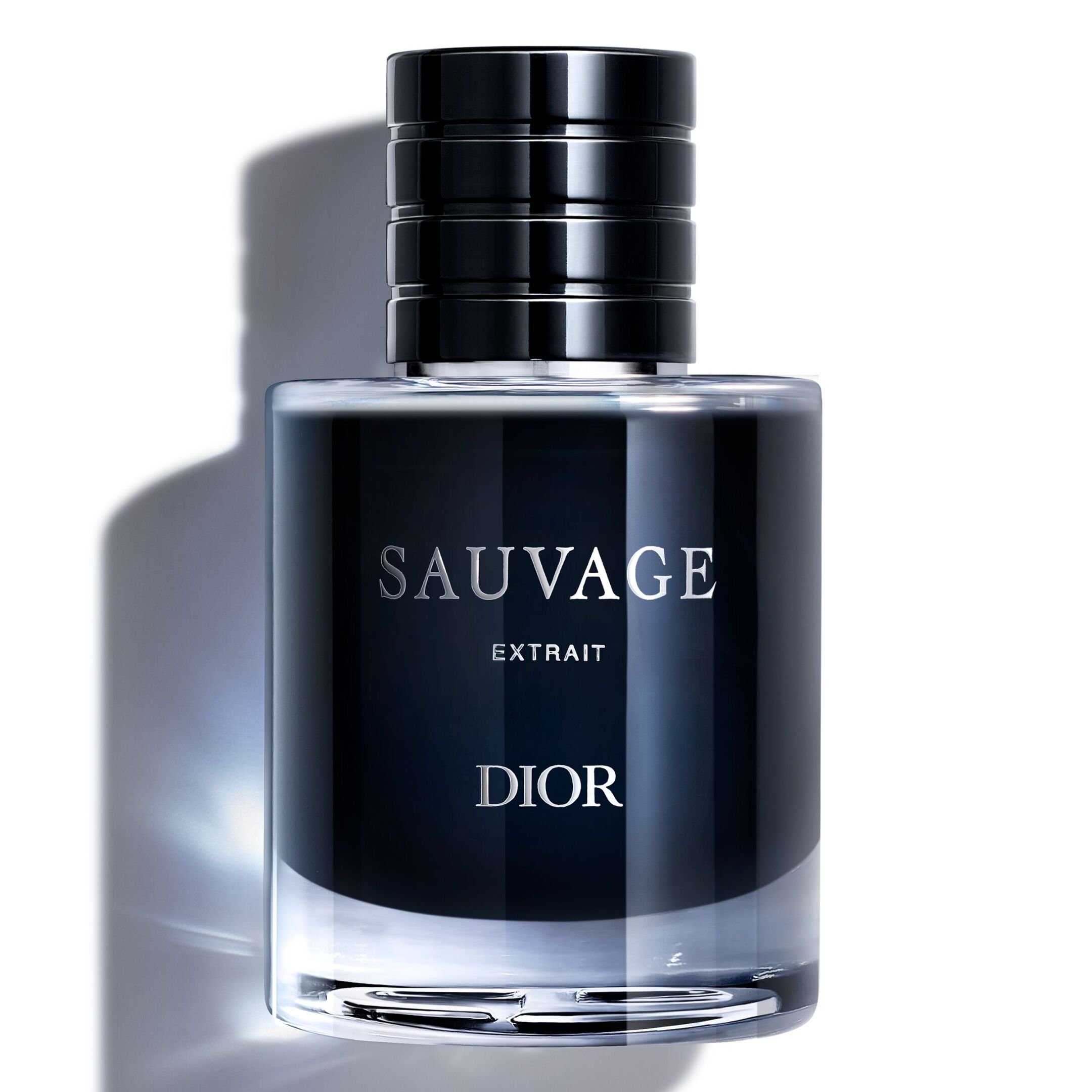 SAUVAGE EXTRAIT WOODY NOTES 0