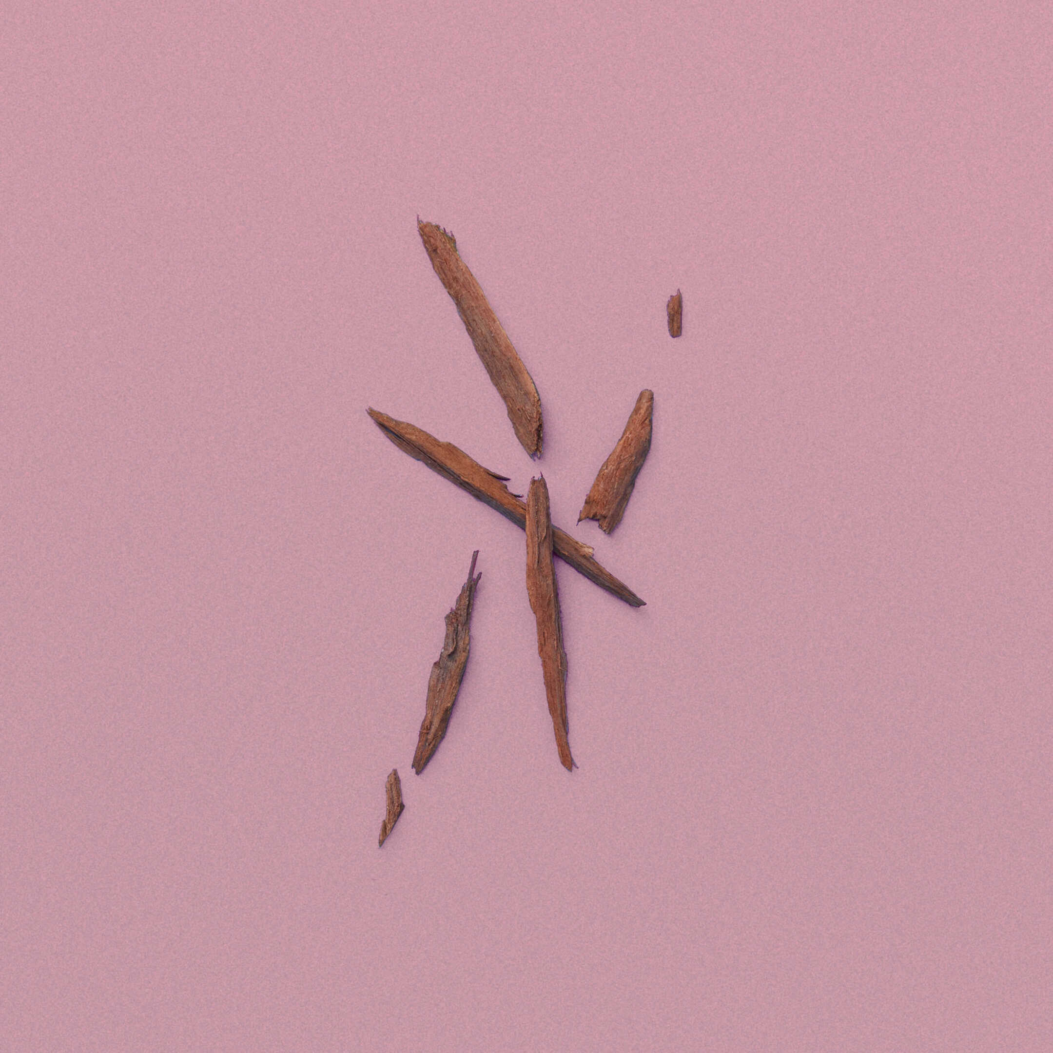 THE ALCHEMIST'S GARDEN FADING AUTUMN ACQUA PROFUMATA EAU DE TOILETTE 3