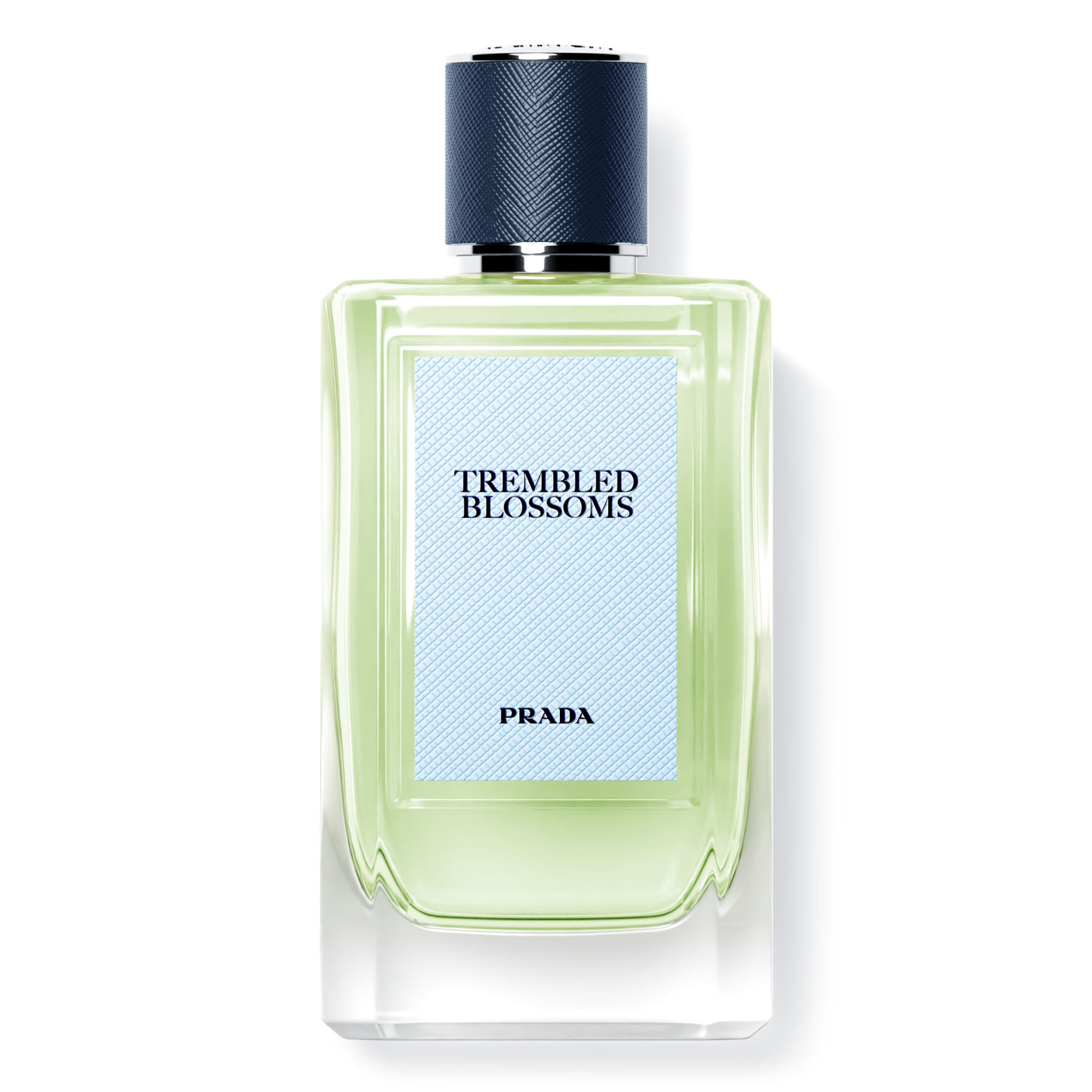 OLFACTORIES TREMBLED BLOSSOMS EAU DE PARFUM 0