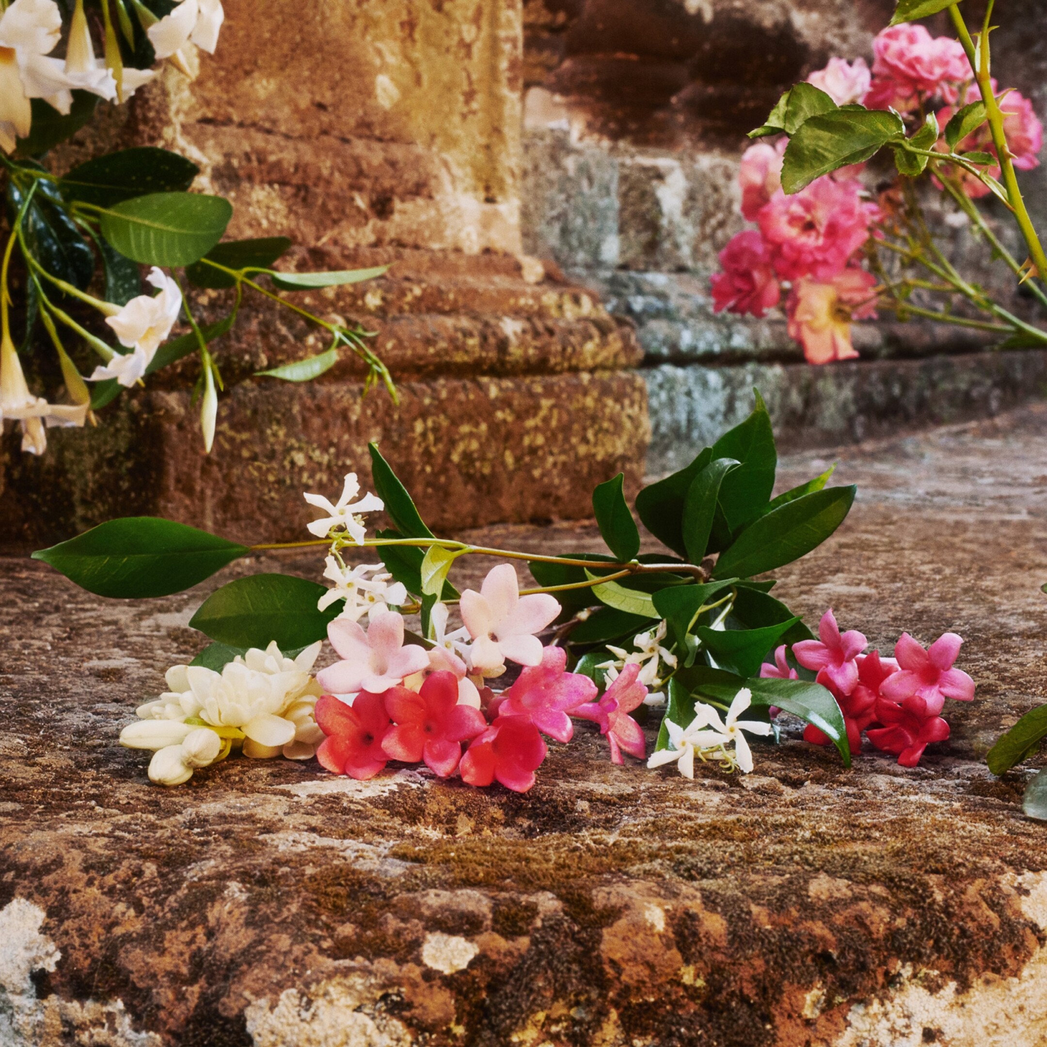 GUCCI BLOOM EAU DE TOILETTE 4