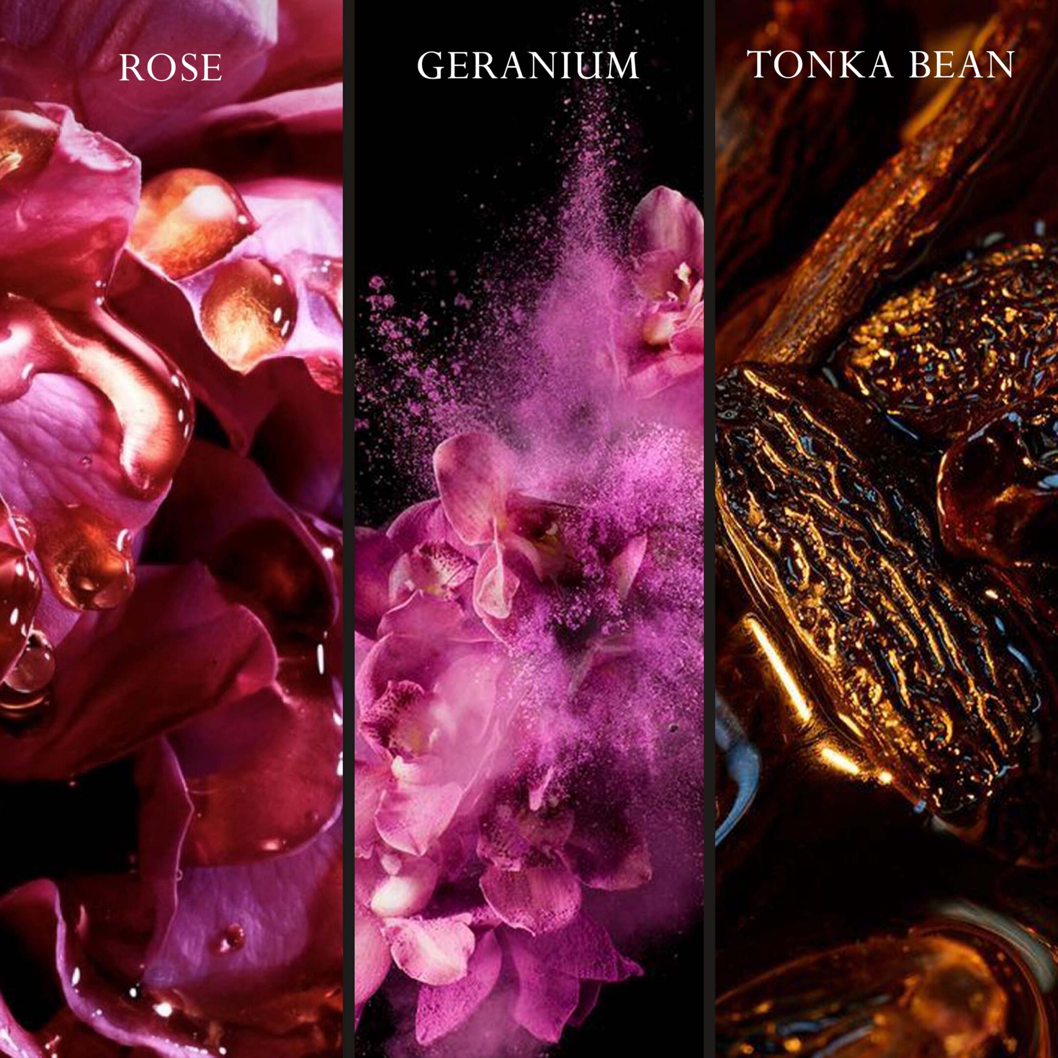 JOOP! HOMME EAU DE PARFUM INTENSE FOR MEN 3