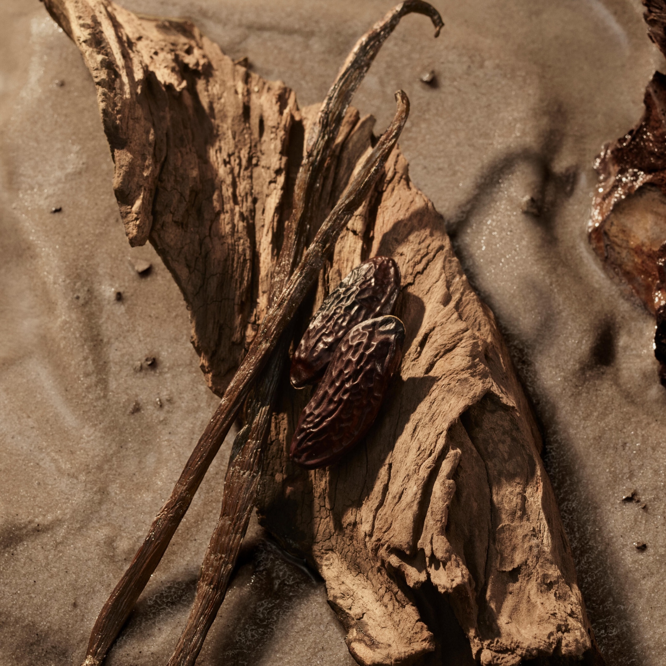 BURBERRY HERO ELIXIR DE PARFUM 3