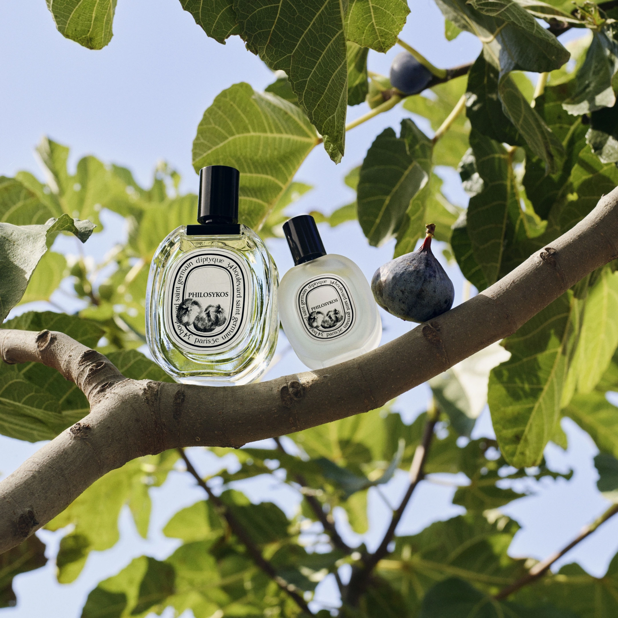 PHILOSYKOS HAIR MIST 2