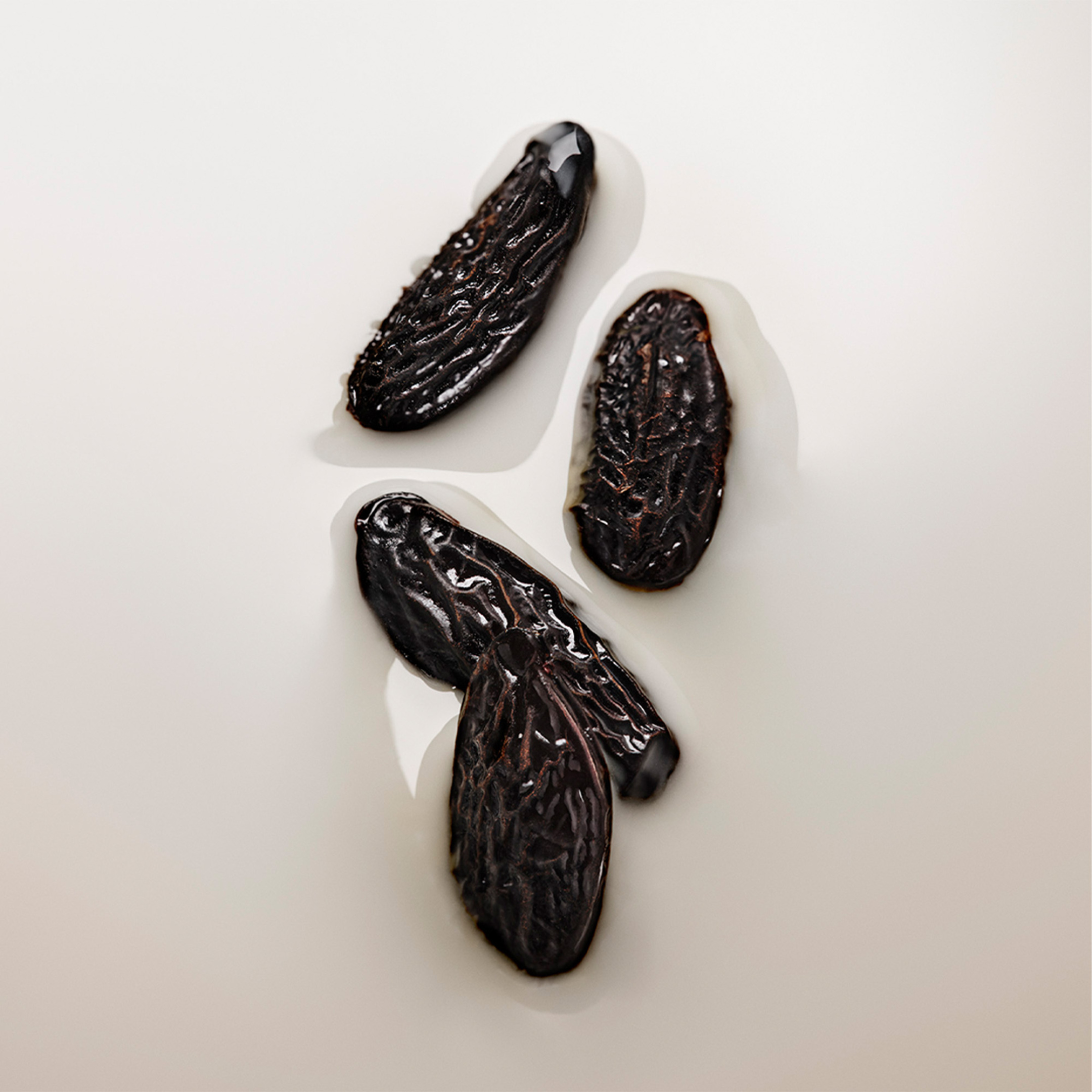 ANGELS’ SHARE BODY LOTION 1