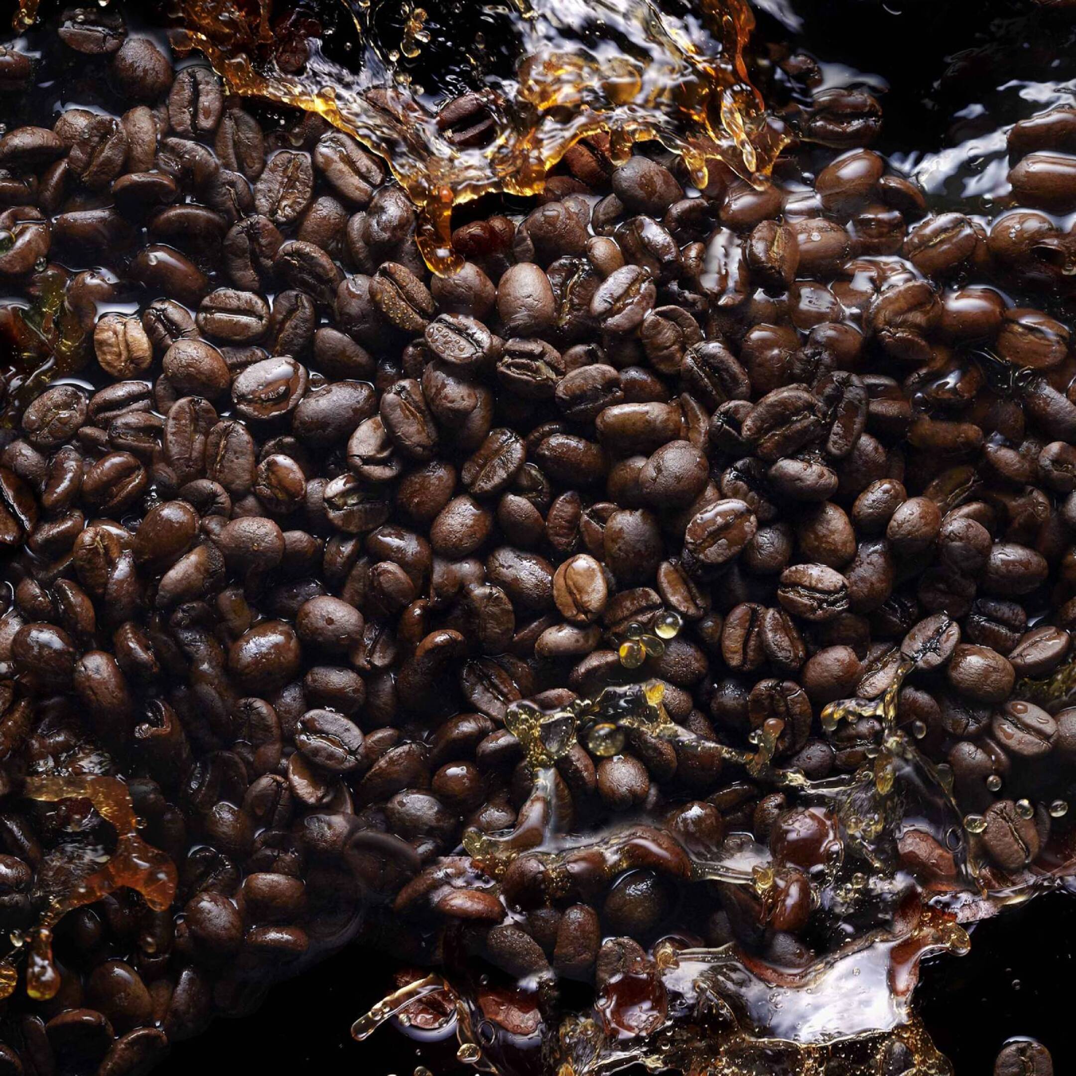 BLACK PHANTOM "MEMENTO MORI" 4