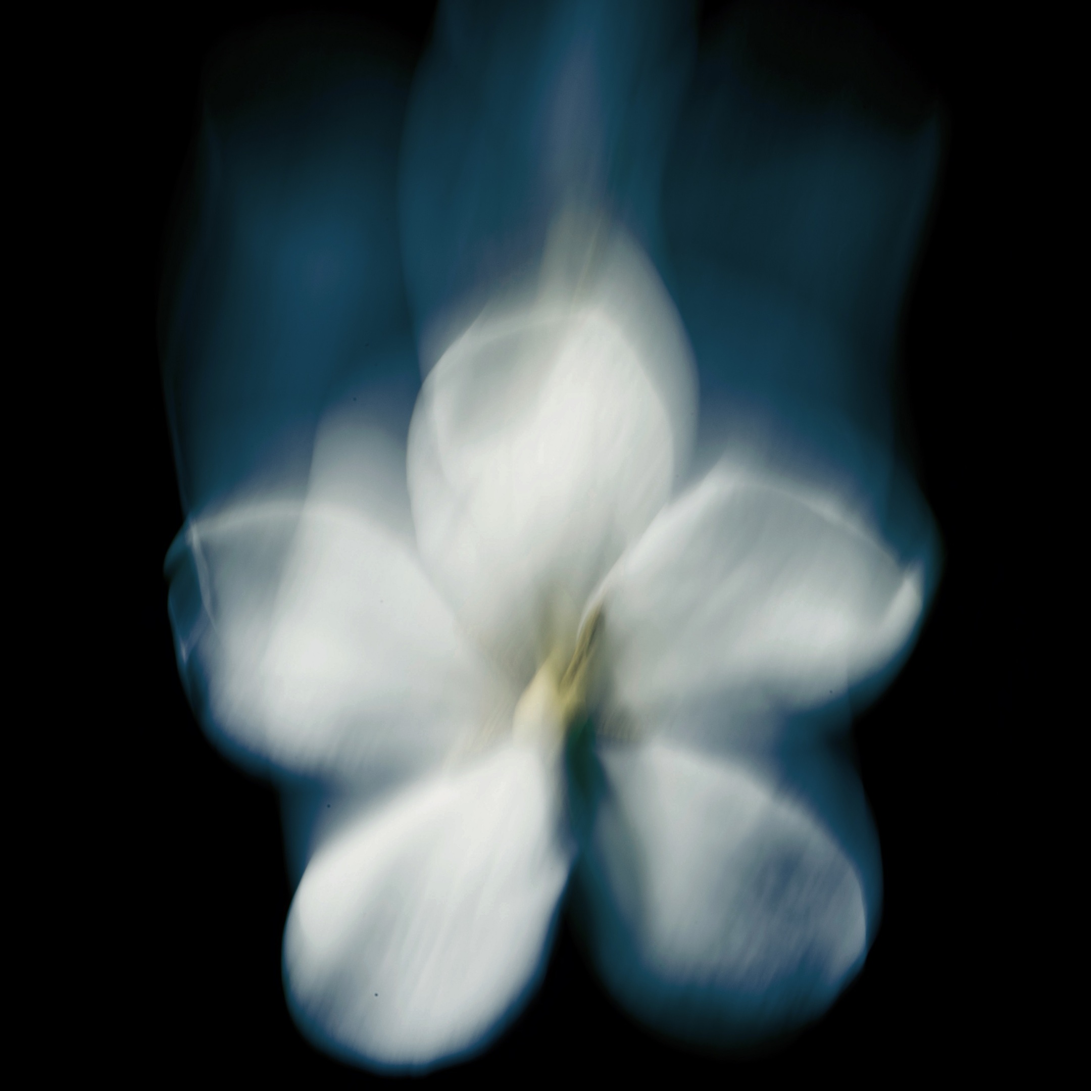 PATCHOULI MAGNETIK EXTRAIT DE PARFUM 3