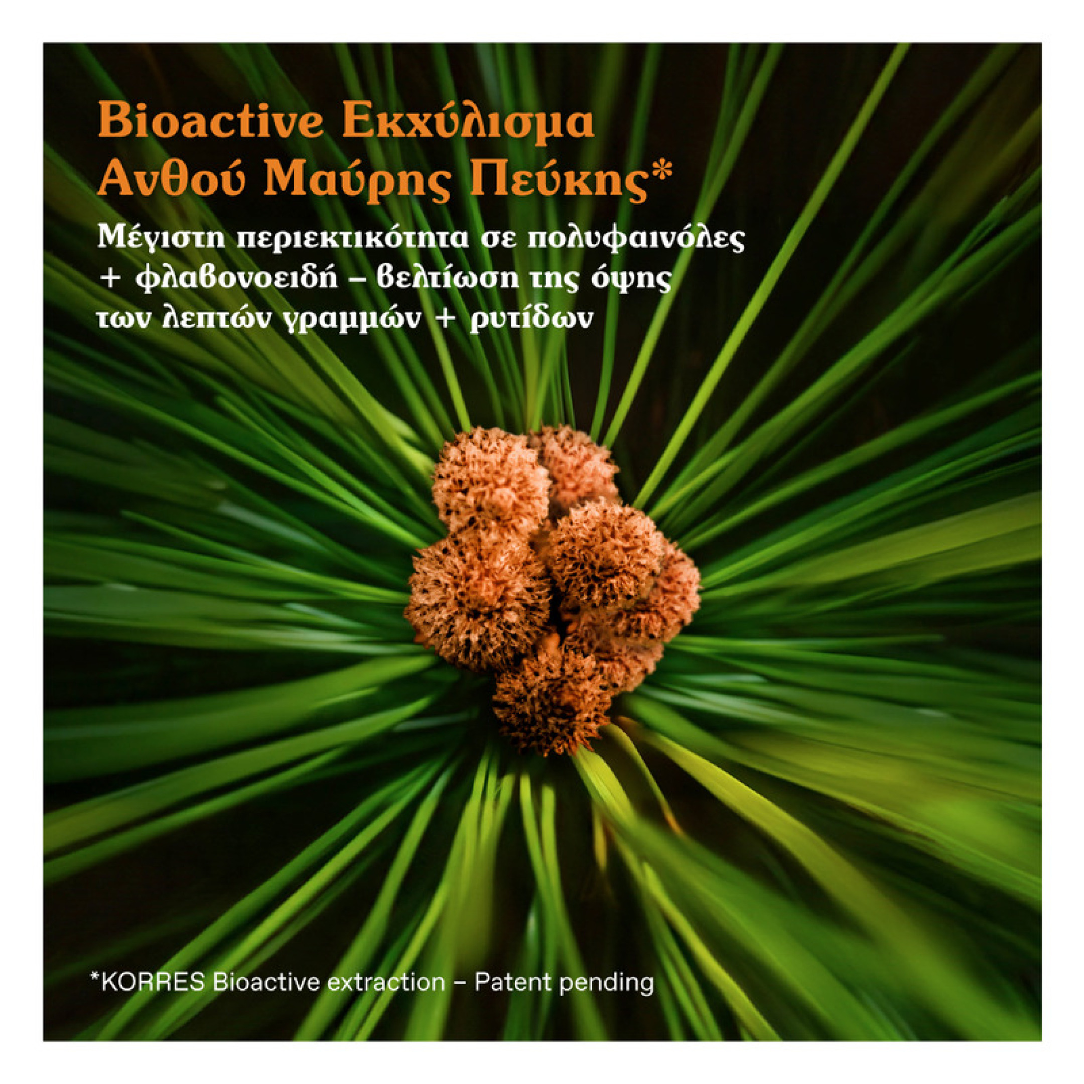 BLACK PINE PRIMUS ΛΕΙΑΝΣΗ ΡΥΤΙΔΩΝ + ΕΛΑΣΤΙΚΟΤΗΤΑ ΚΡΕΜΑ ΝΕΟΤΗΤΑΣ ΗΜΕΡΑΣ 3