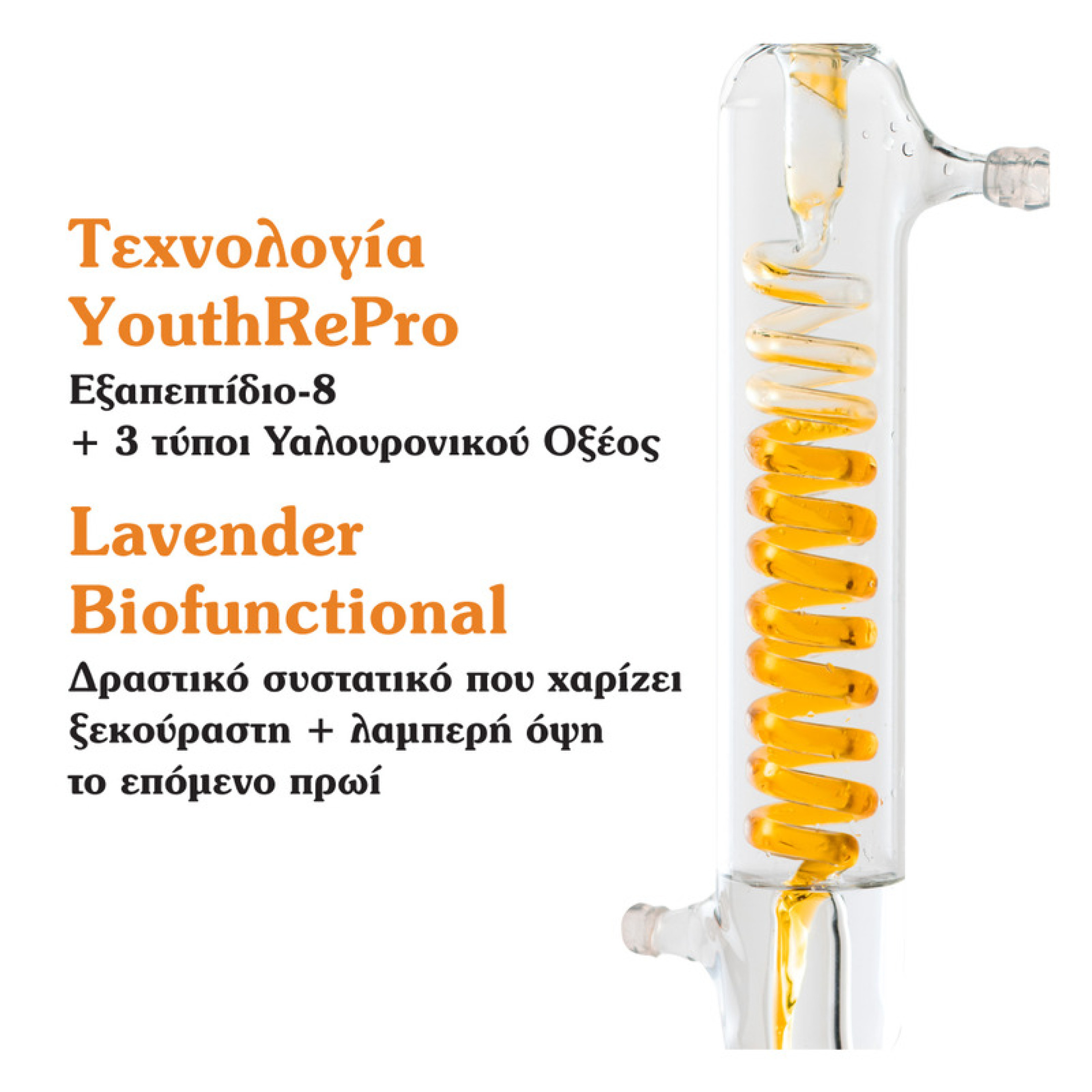 BLACK PINE PRIMUS ΛΕΙΑΝΣΗ ΡΥΤΙΔΩΝ + ΕΛΑΣΤΙΚΟΤΗΤΑ ΚΡΕΜΑ ΝΕΟΤΗΤΑΣ ΝΥΧΤΑΣ 4