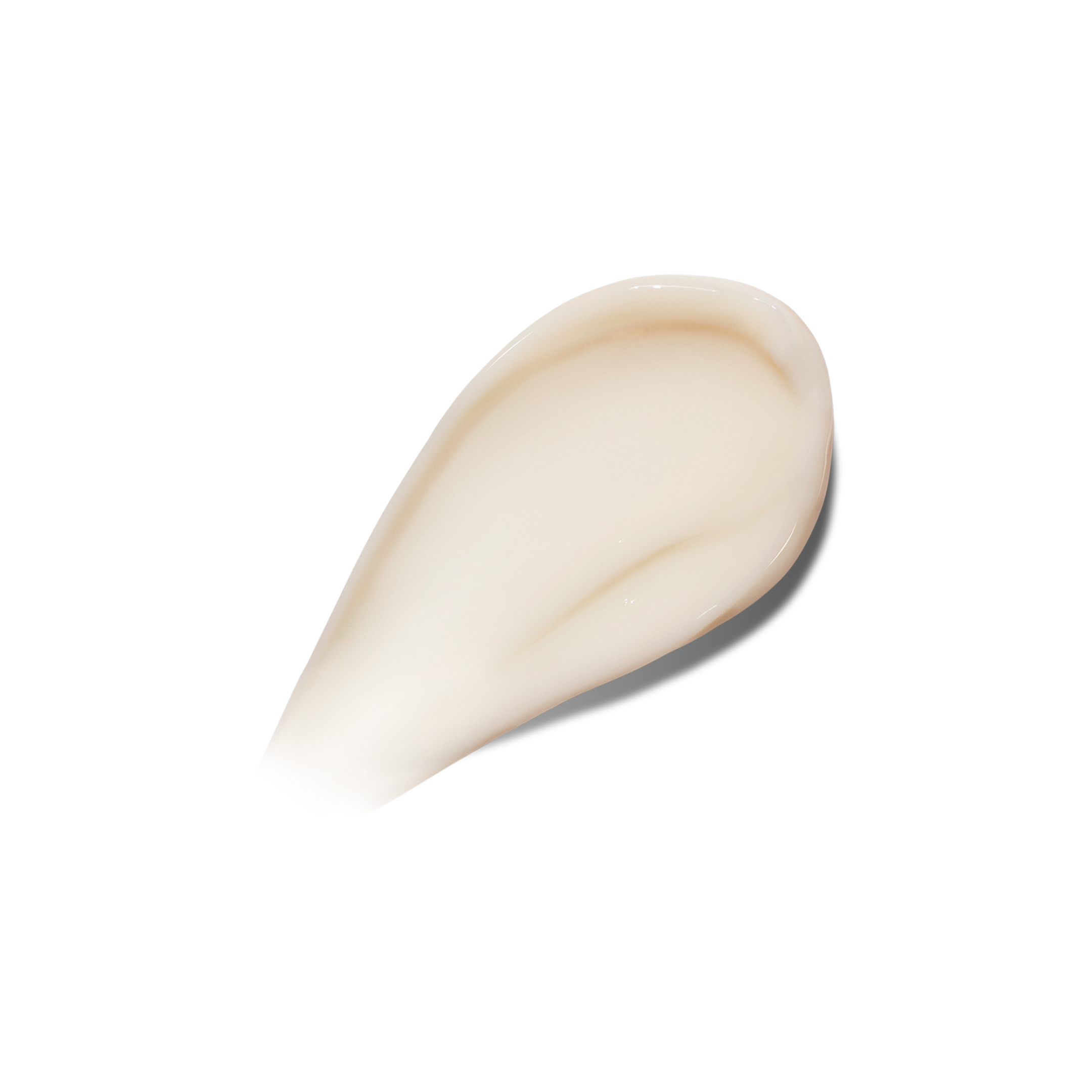 THE MOISTURIZER FRESH CREAM 1