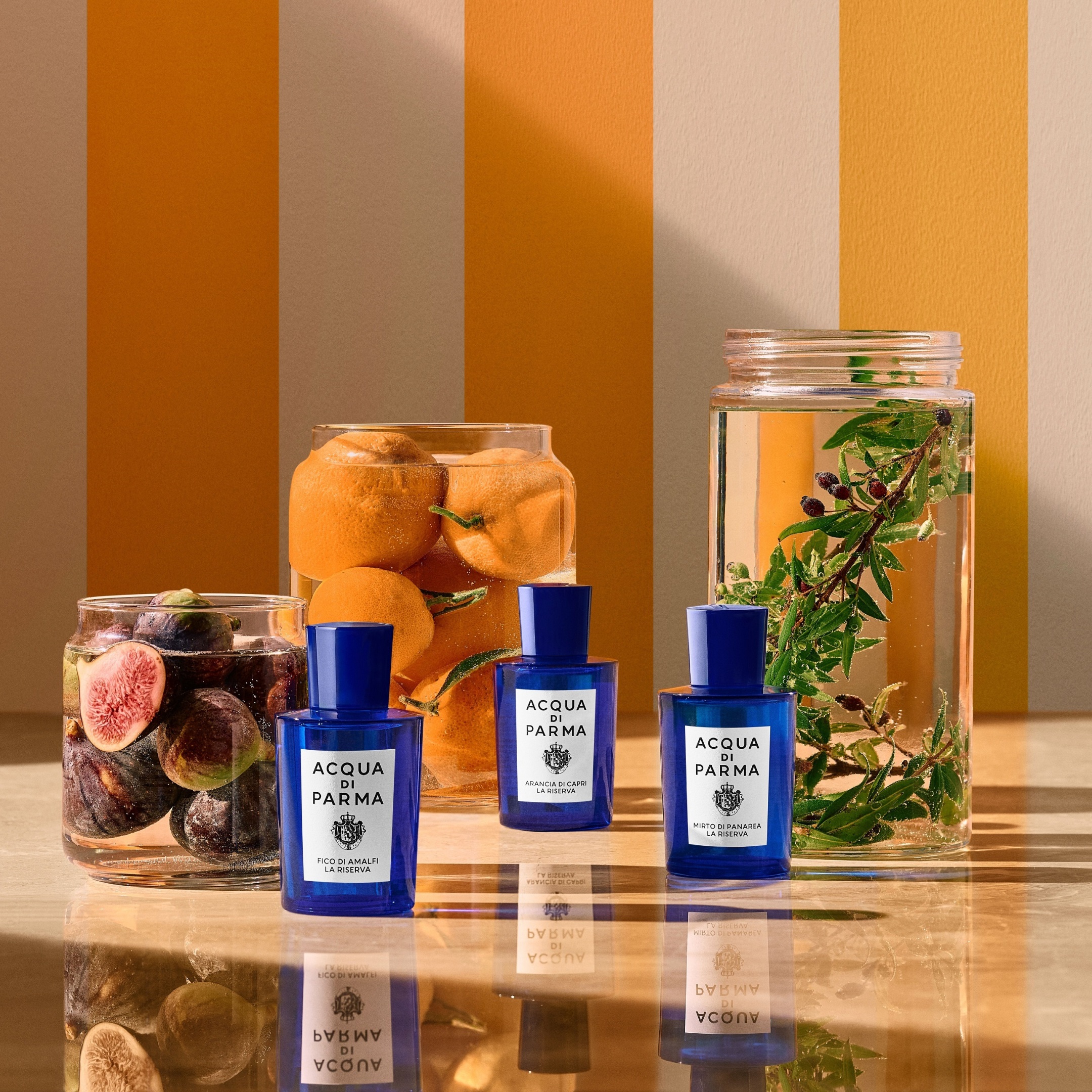 MIRTO DI PANAREA LA RISERVA 6