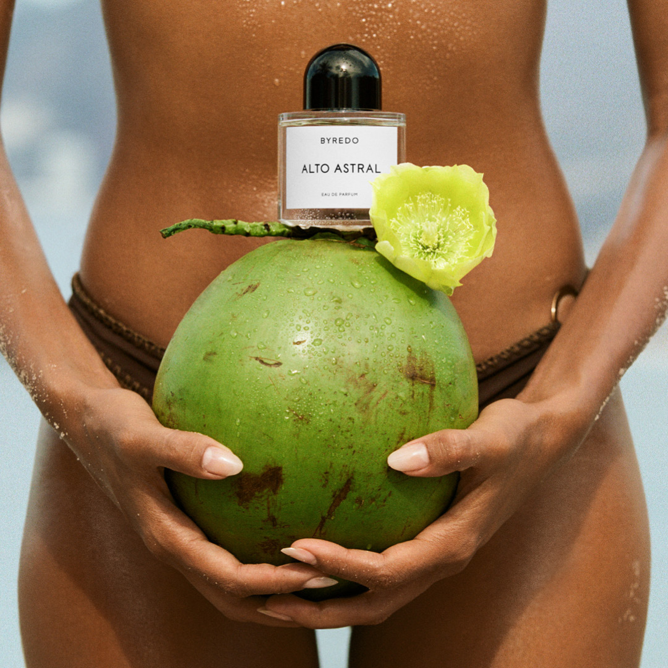 ALTO ASTRAL EAU DE PARFUM 3