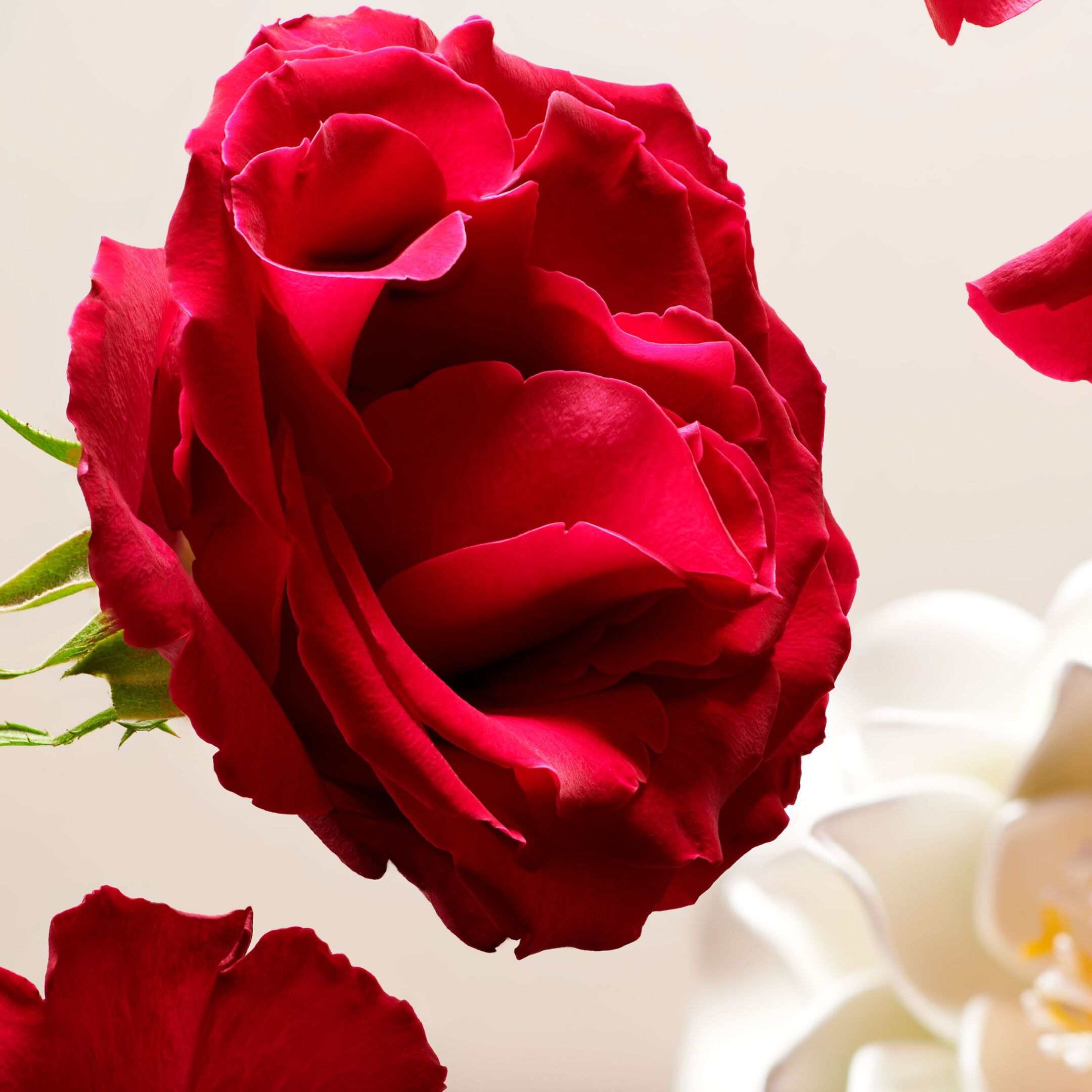 THE RITUAL OF NAMASTE MICELLAR WATER 3