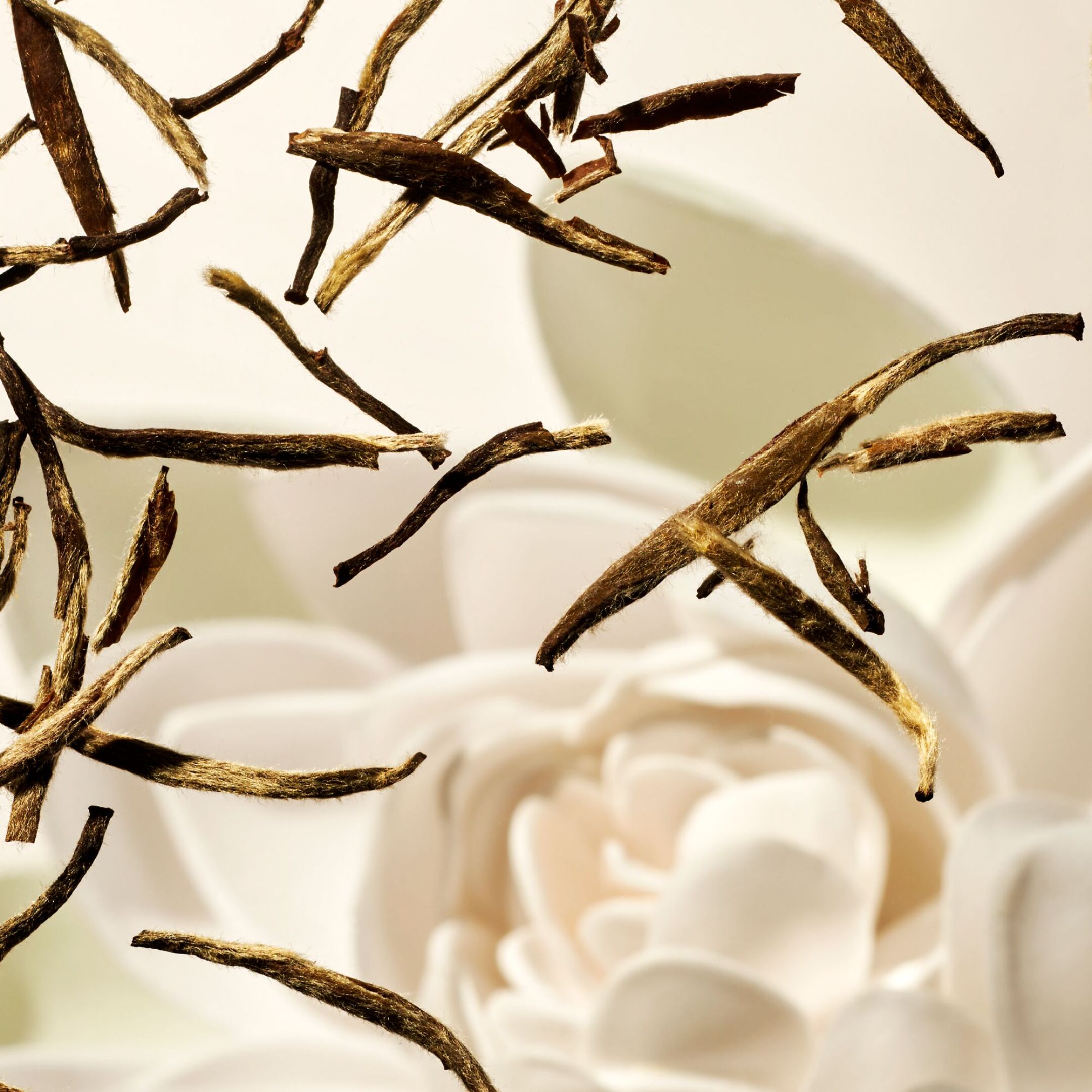 THE RITUAL OF KARMA BODY LOTION MOUSSE 5