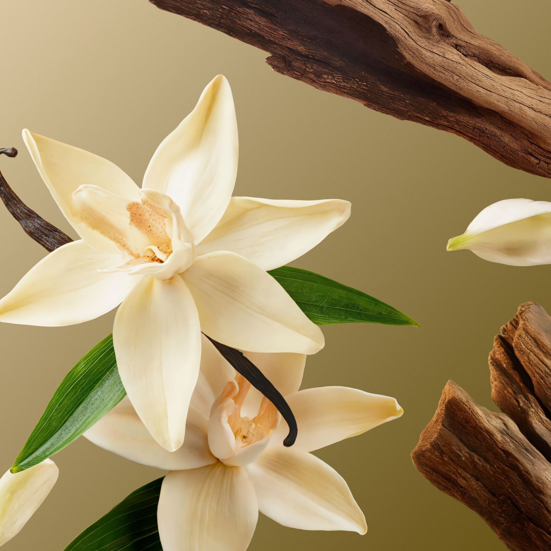 INTUITIA FRAGRANCE STICKS 5