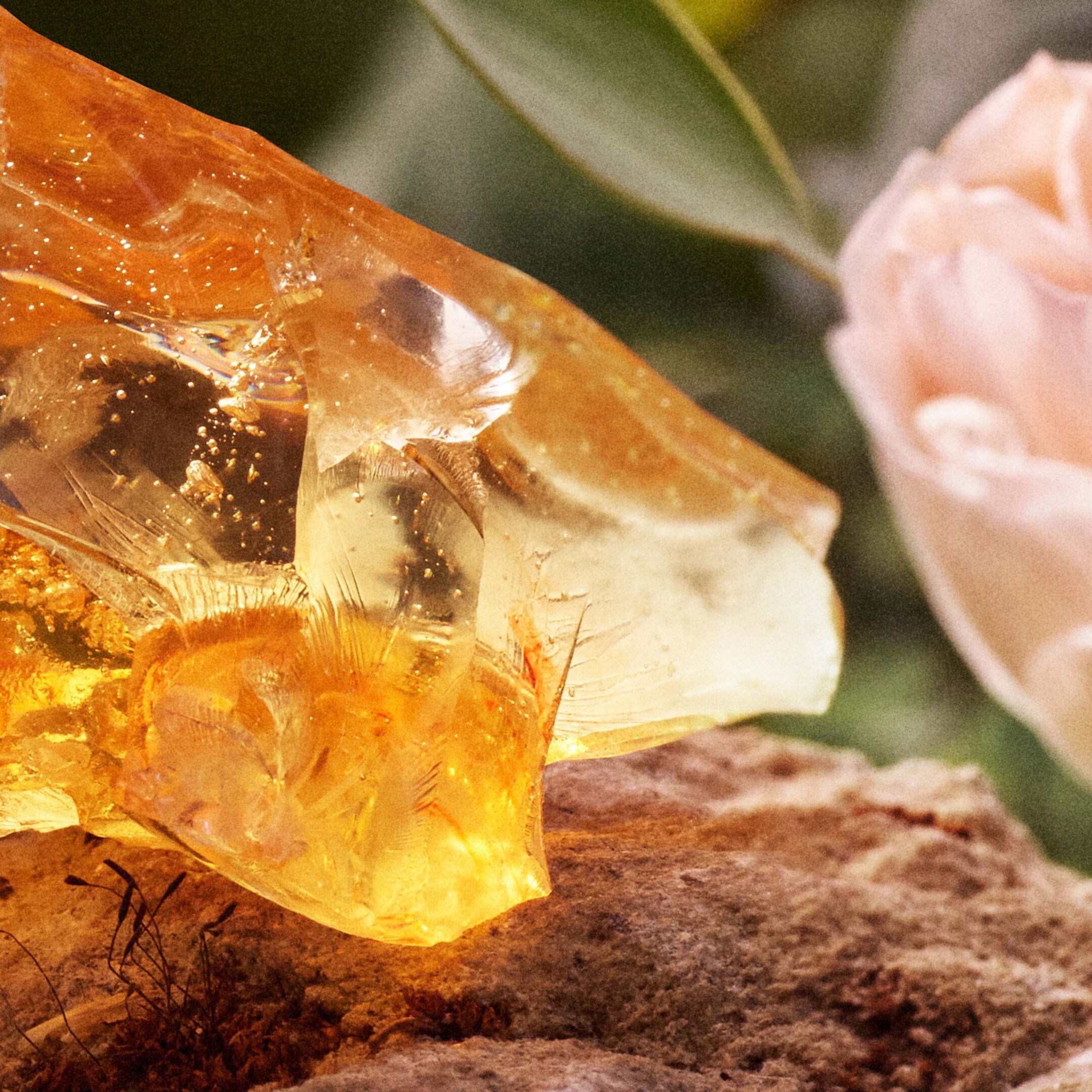 CHLOÉ EAU DE PARFUM  7