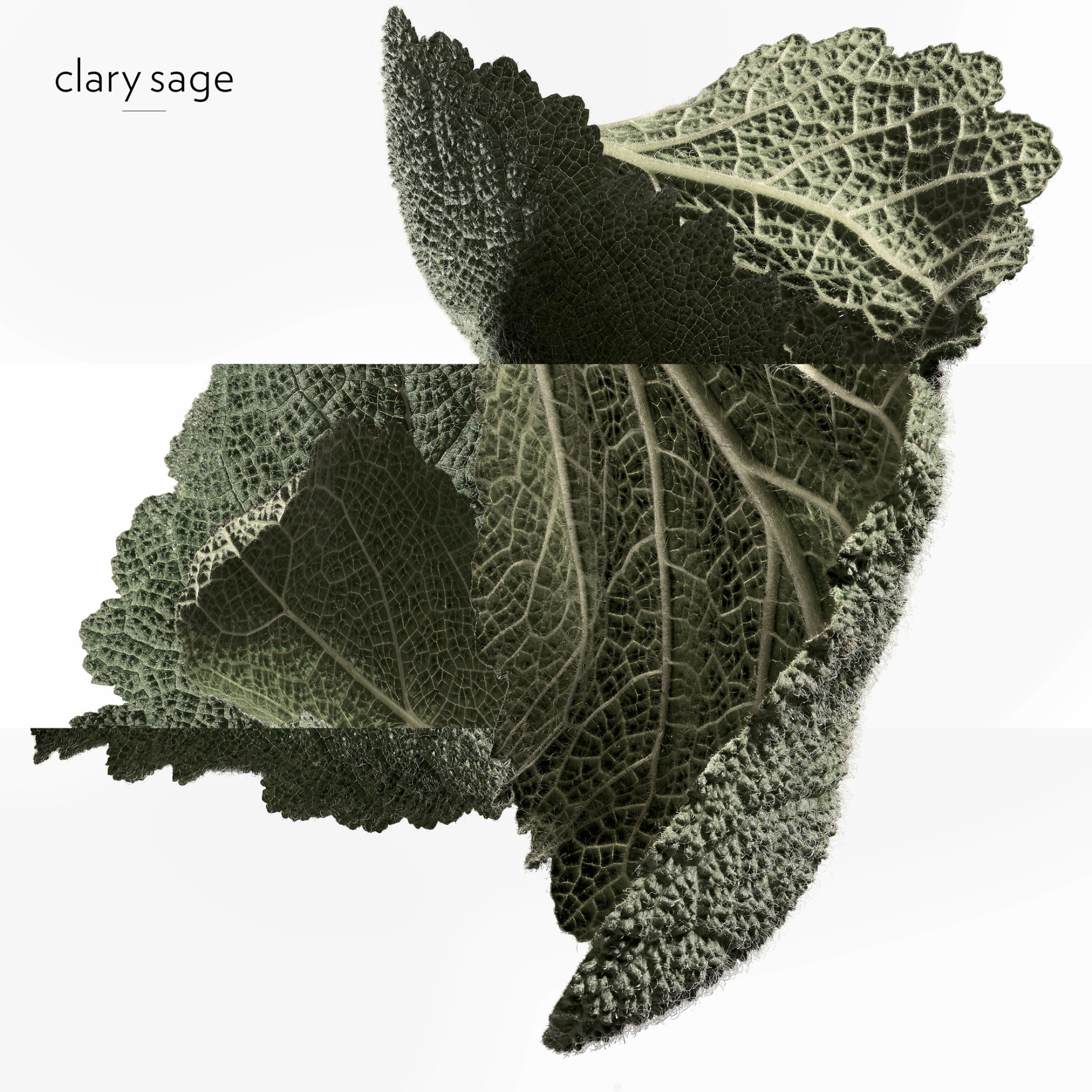 H24 EAU DE PARFUM REFILLABLE 4