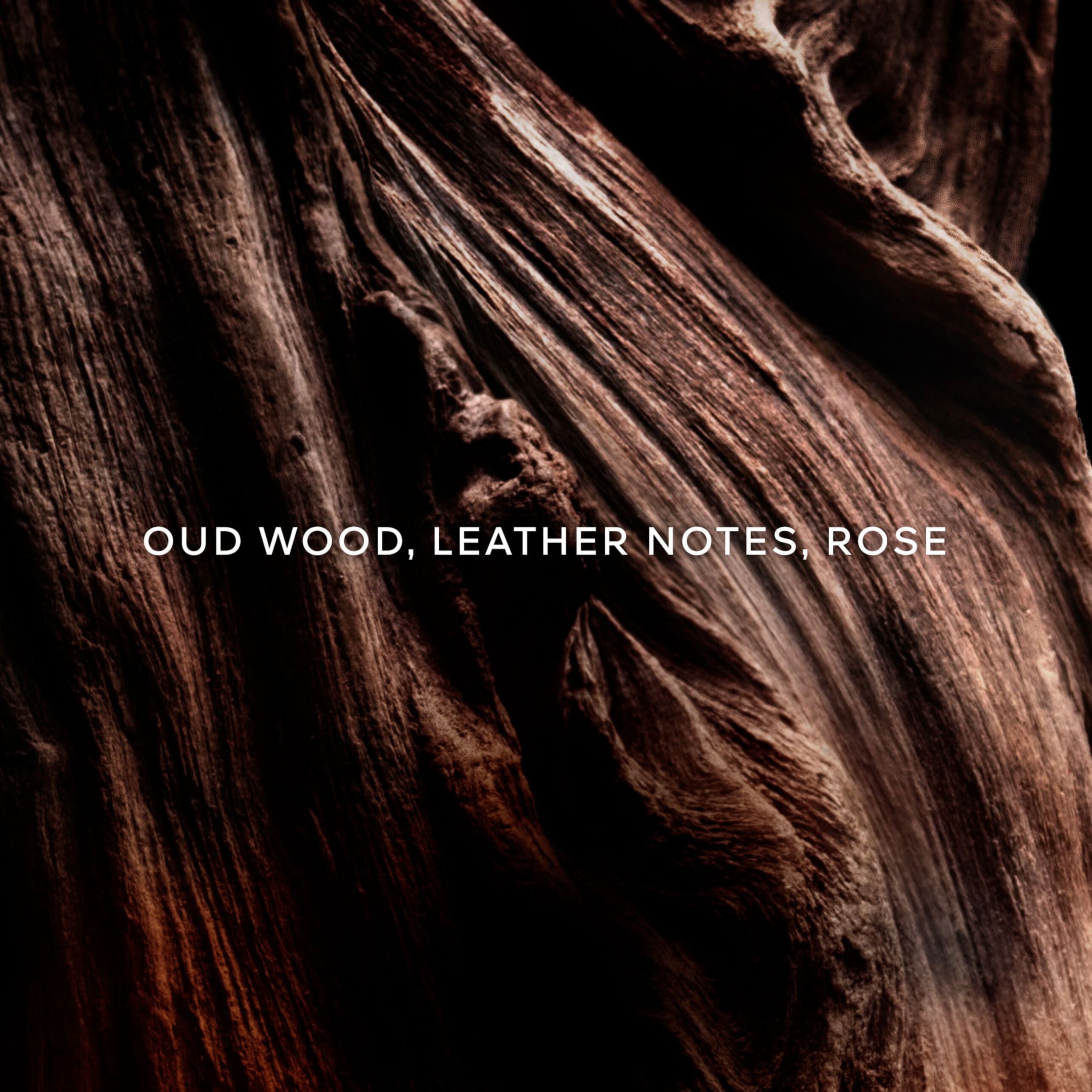 ABSOLUS ALLEGORIA OUD ESSENTIEL EAU DE PARFUM 1