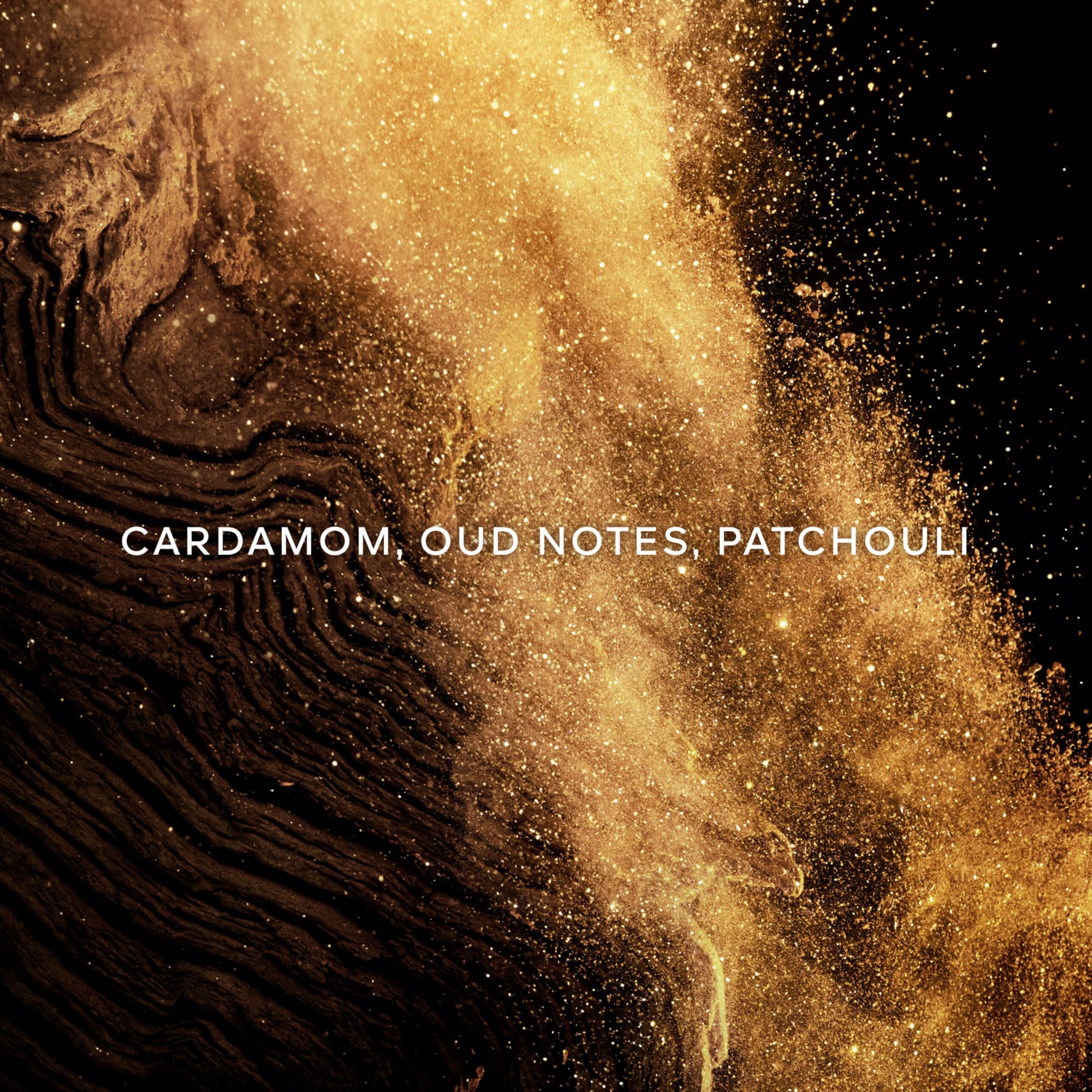 ABSOLUS ALLEGORIA EPICES EXQUISES EAU DE PARFUM 1