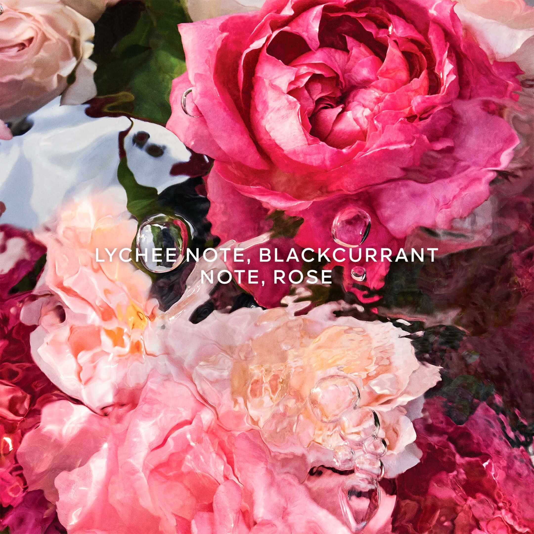 AQUA ALLEGORIA ROSA ROSSA HAND CREAM 3