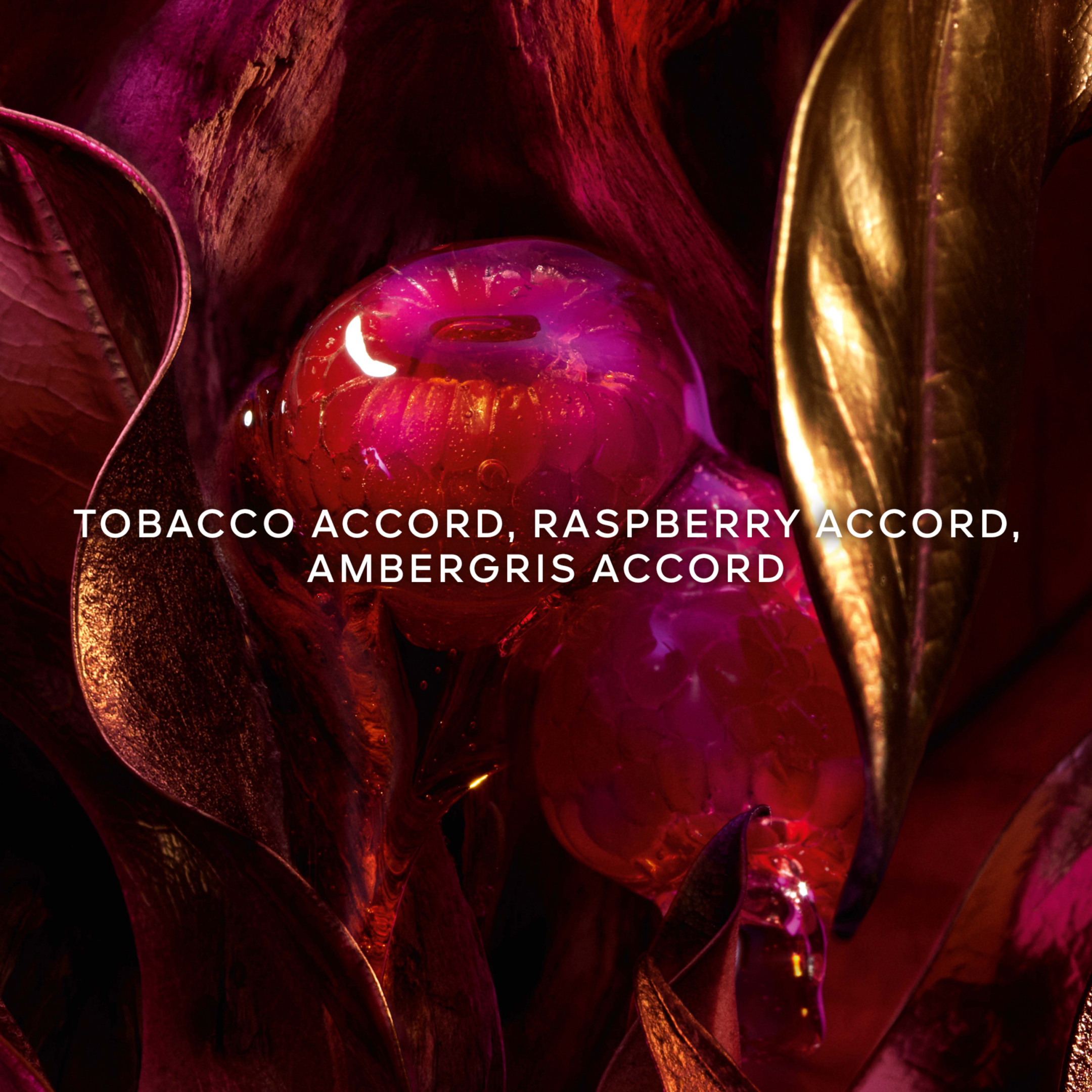 ABSOLUS ALLEGORIA TABAC SAHARA EAU DE PARFUM 3