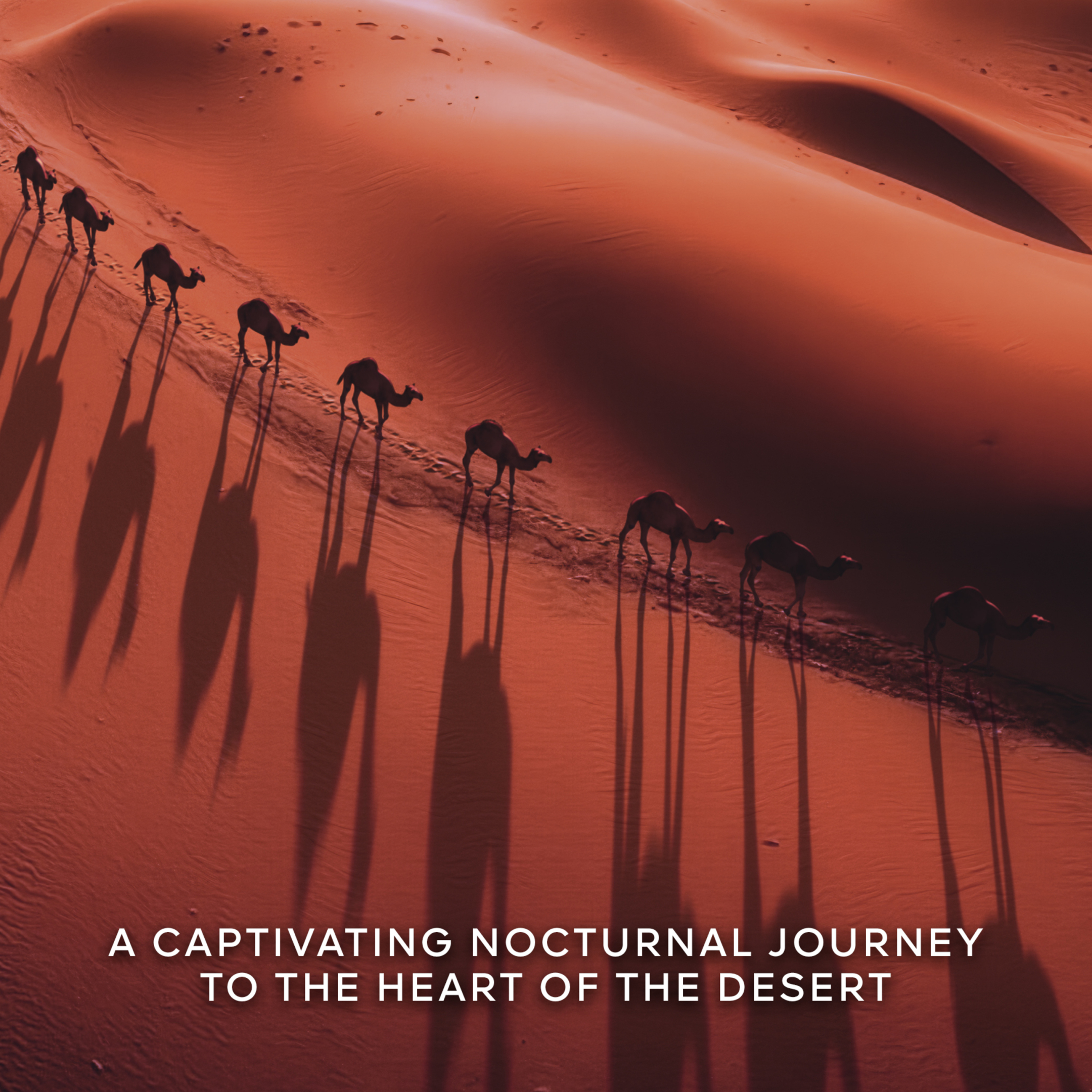 ABSOLUS ALLEGORIA TABAC SAHARA EAU DE PARFUM 4