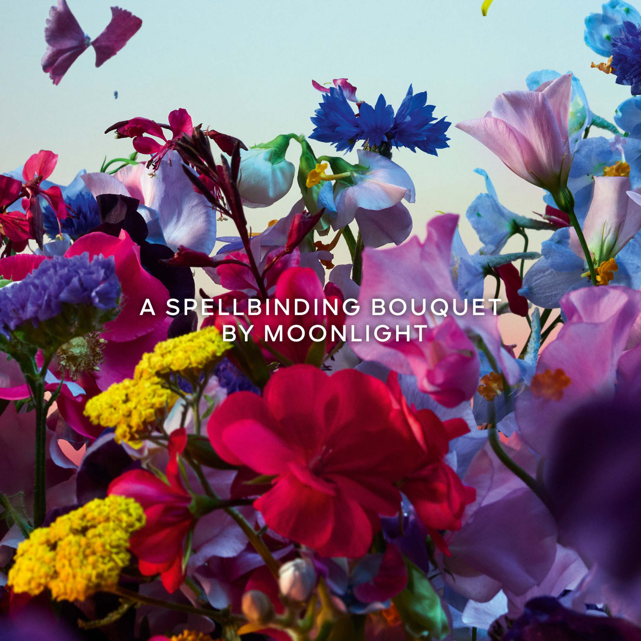 ABSOLUS ALLEGORIA FLORABLOOM EAU DE PARFUM 4