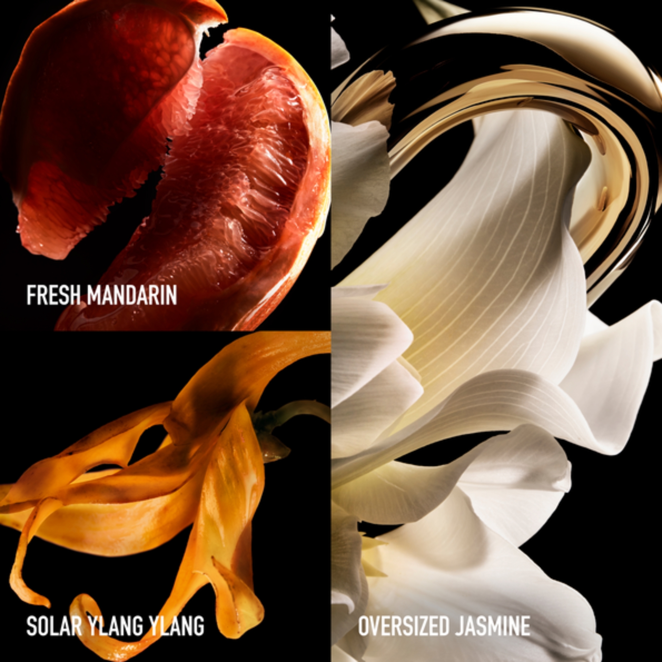 MILLION GOLD FOR HER PURE JASMINE EAU DE PARFUM 2