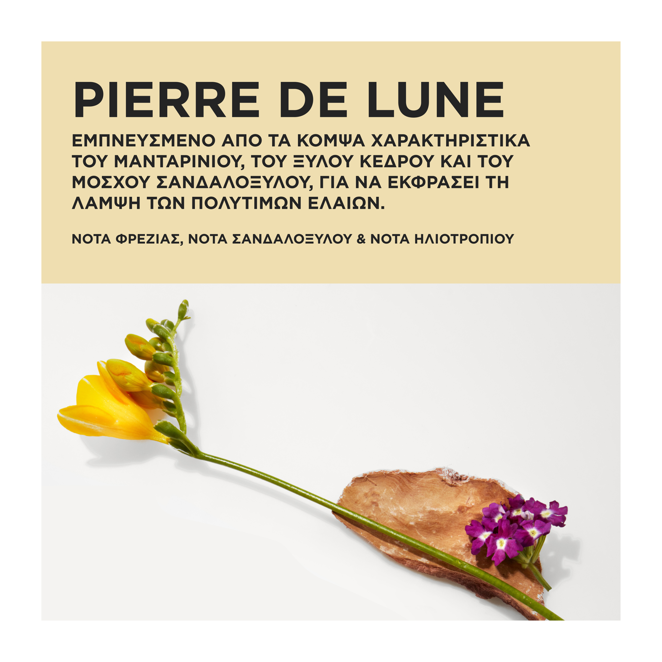 ELIXIR ULTIME GIFT SET 4