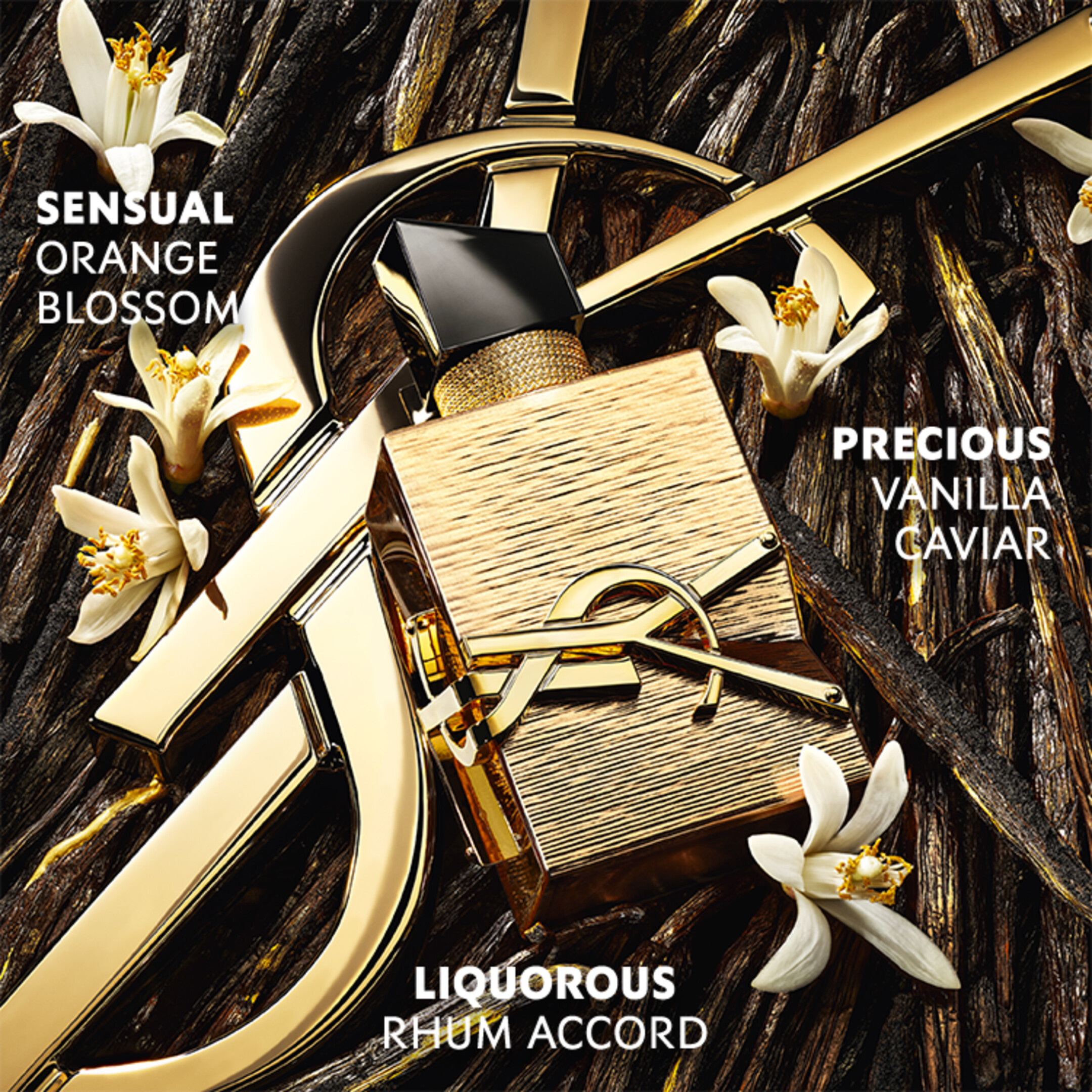 LIBRE VANILLE COUTURE 2