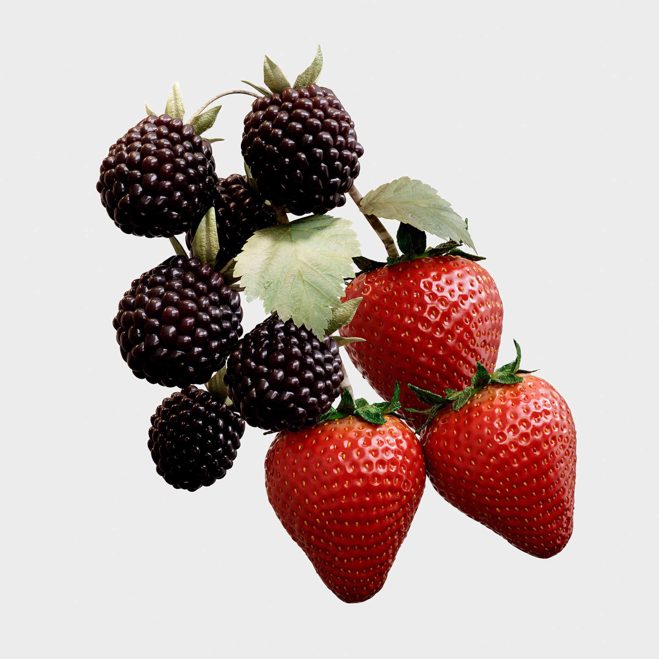 BURBERRY HER ELIXIR DE PARFUM WOMEN 4