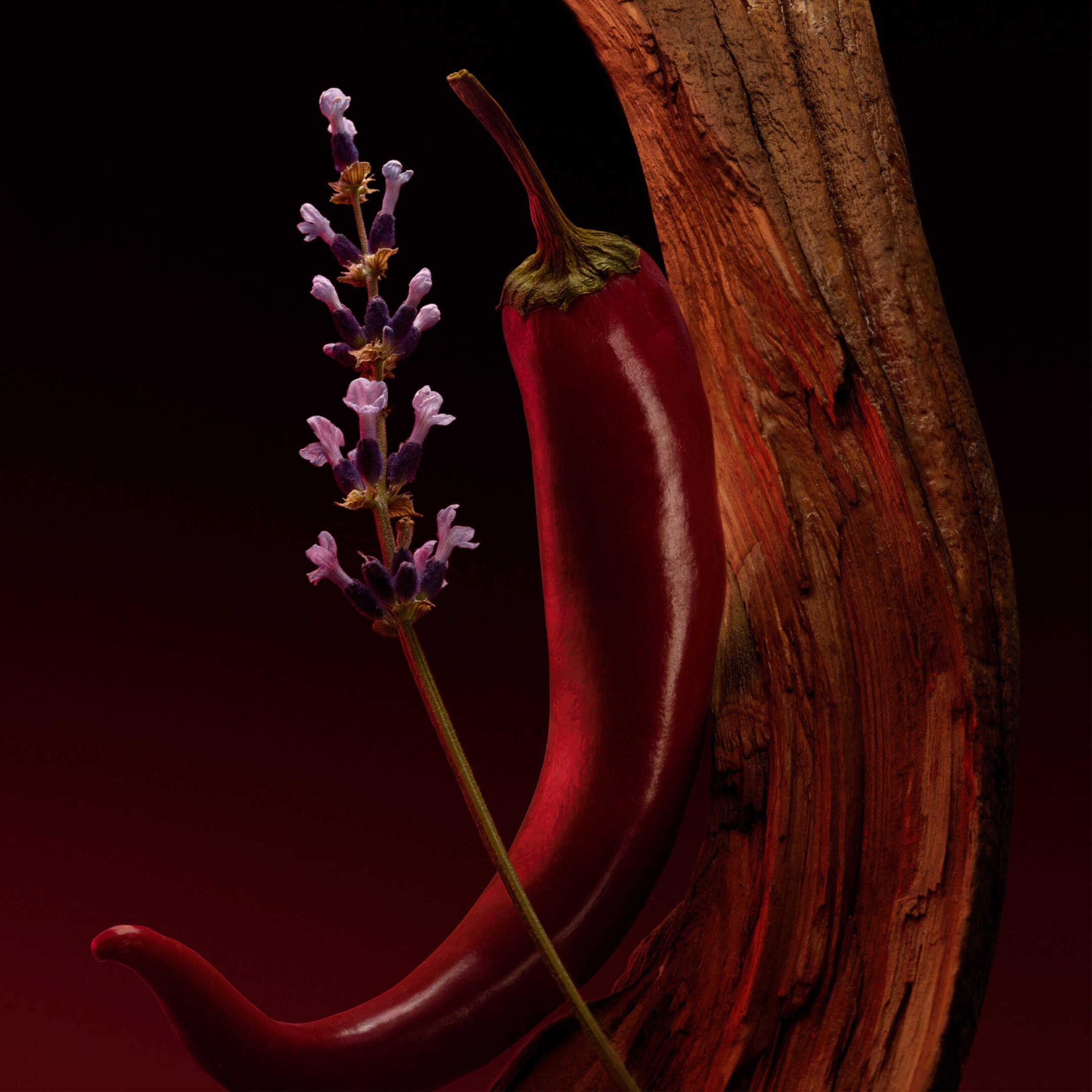 BOSS THE SCENT ELIXIR PARFUM INTENSE FOR HIM 2