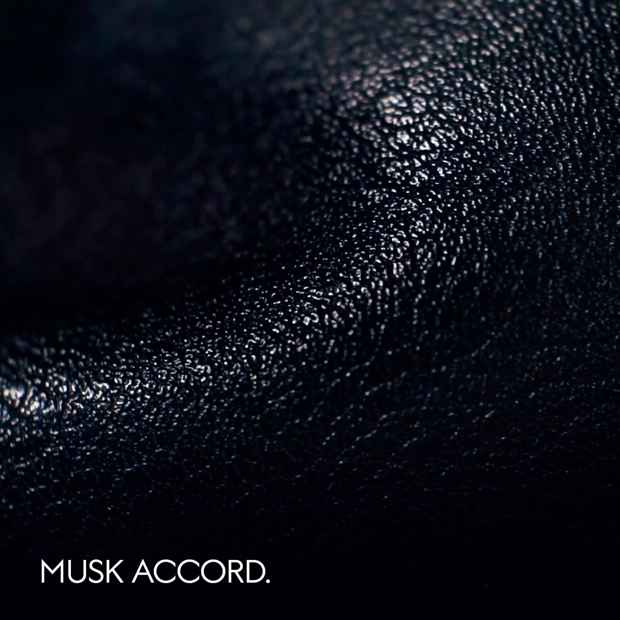 THE ALCHEMIST'S GARDEN MUSCHIO MINERALIS EAU DE PARFUM 2