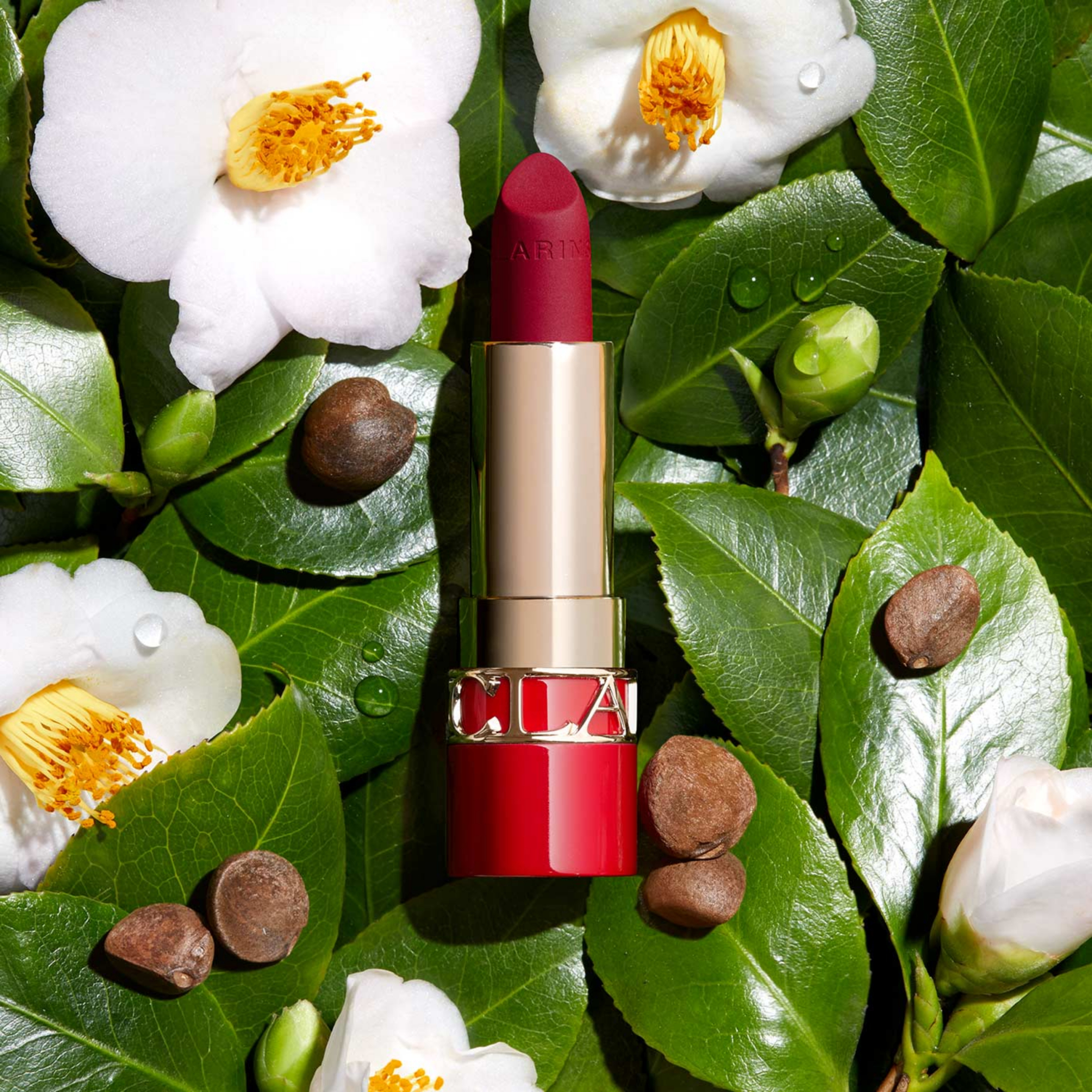 JOLI ROUGE VELVET 4