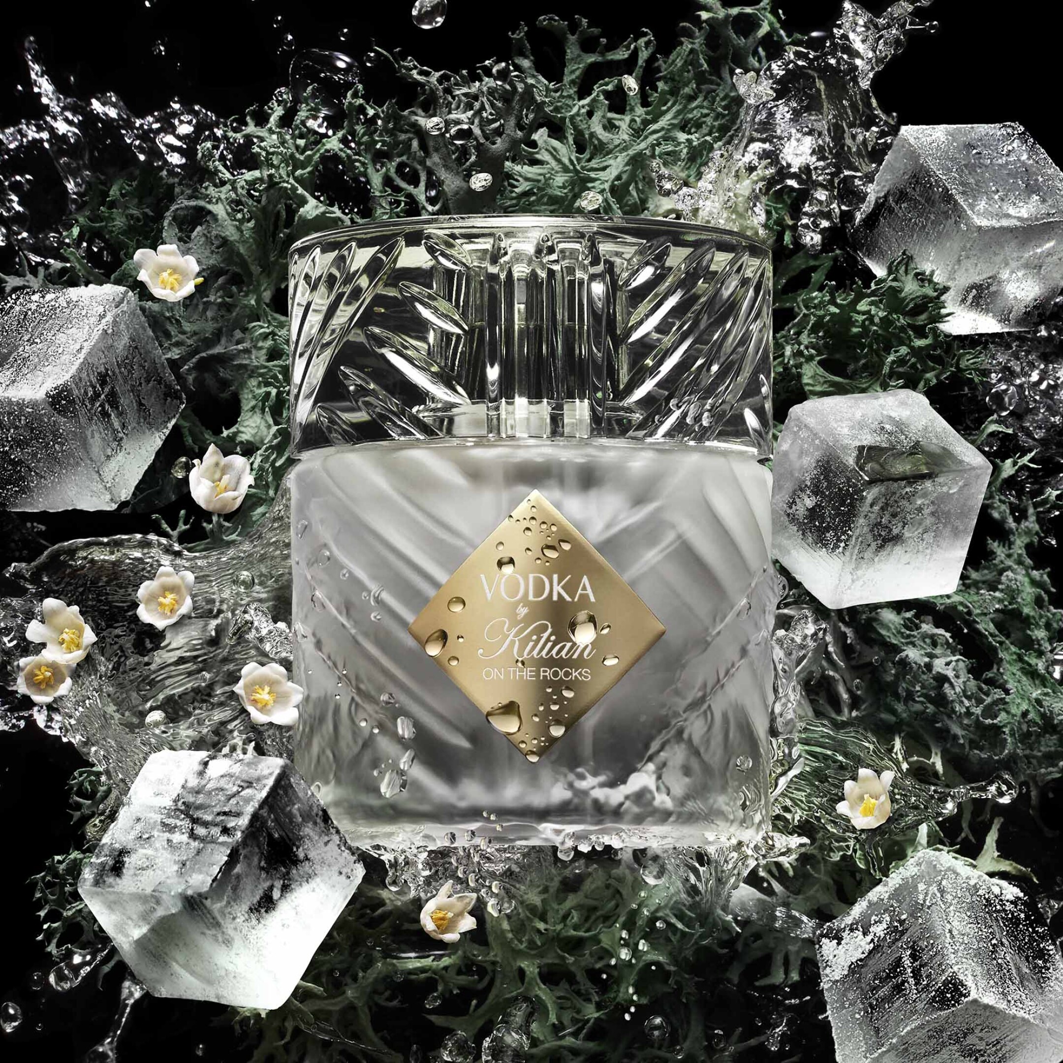 VODKA ON THE ROCKS  1