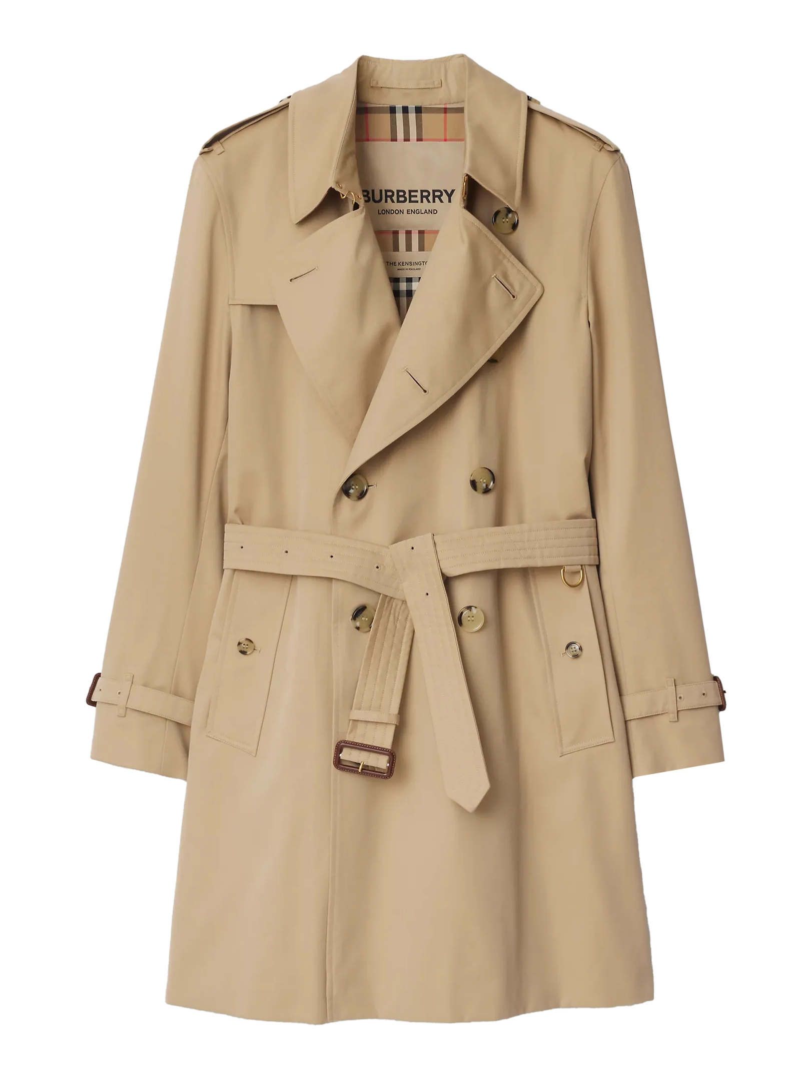 ΑΝΔΡΙΚΗ ΚΑΜΠΑΡΝΤΙΝΑ 0