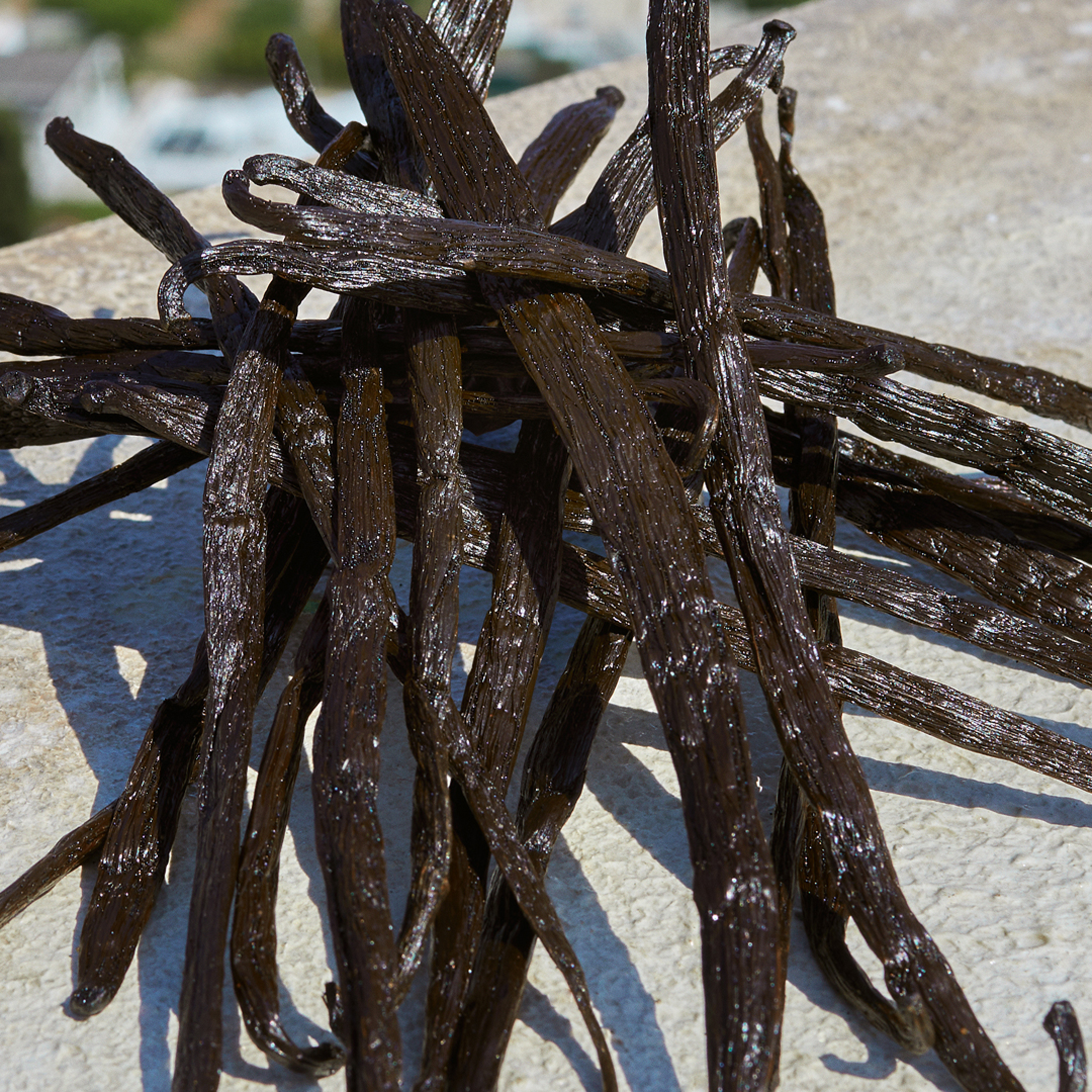 DEVOTION EAU DE PARFUM 5