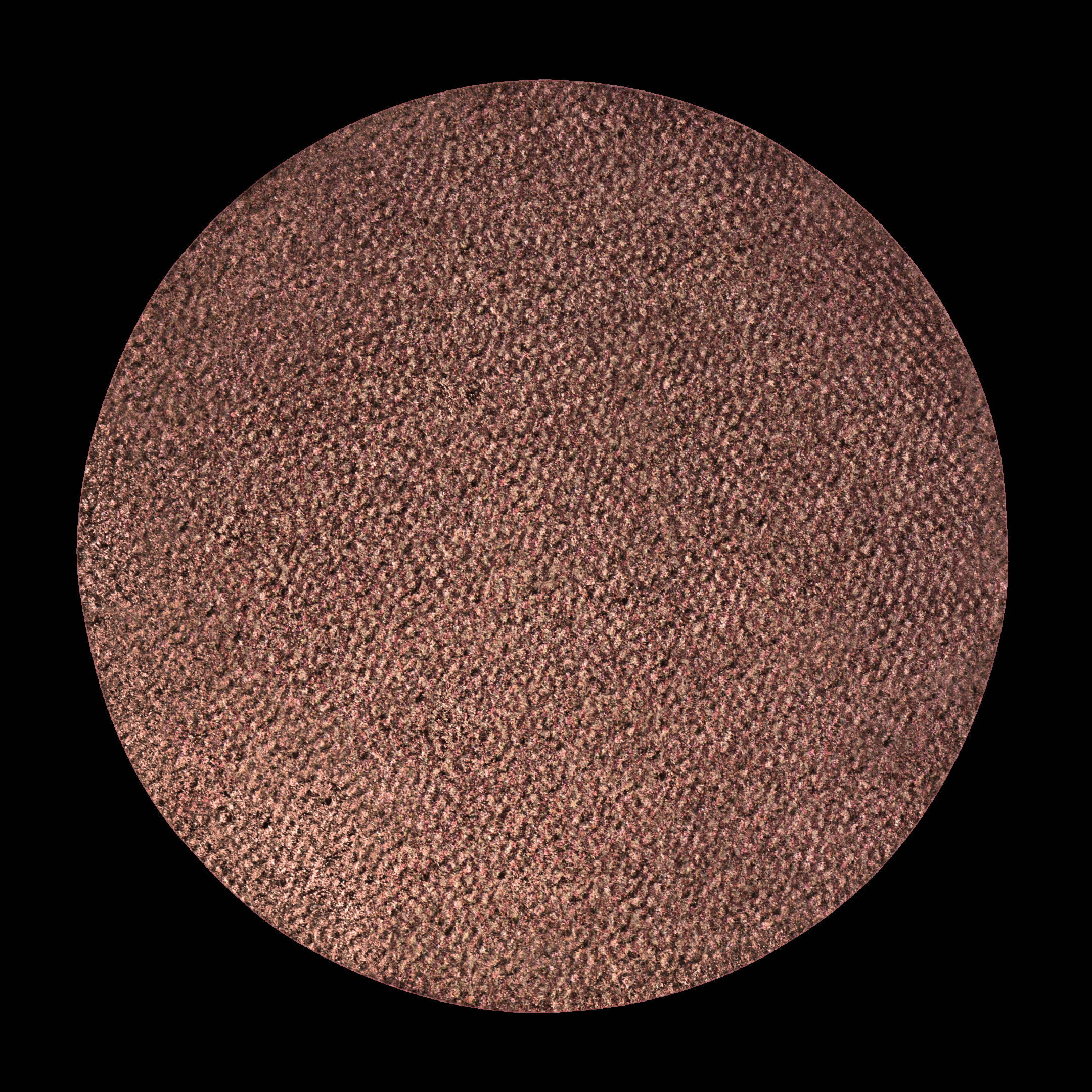 CHIC MONO EYESHADOW SHIMMER 3