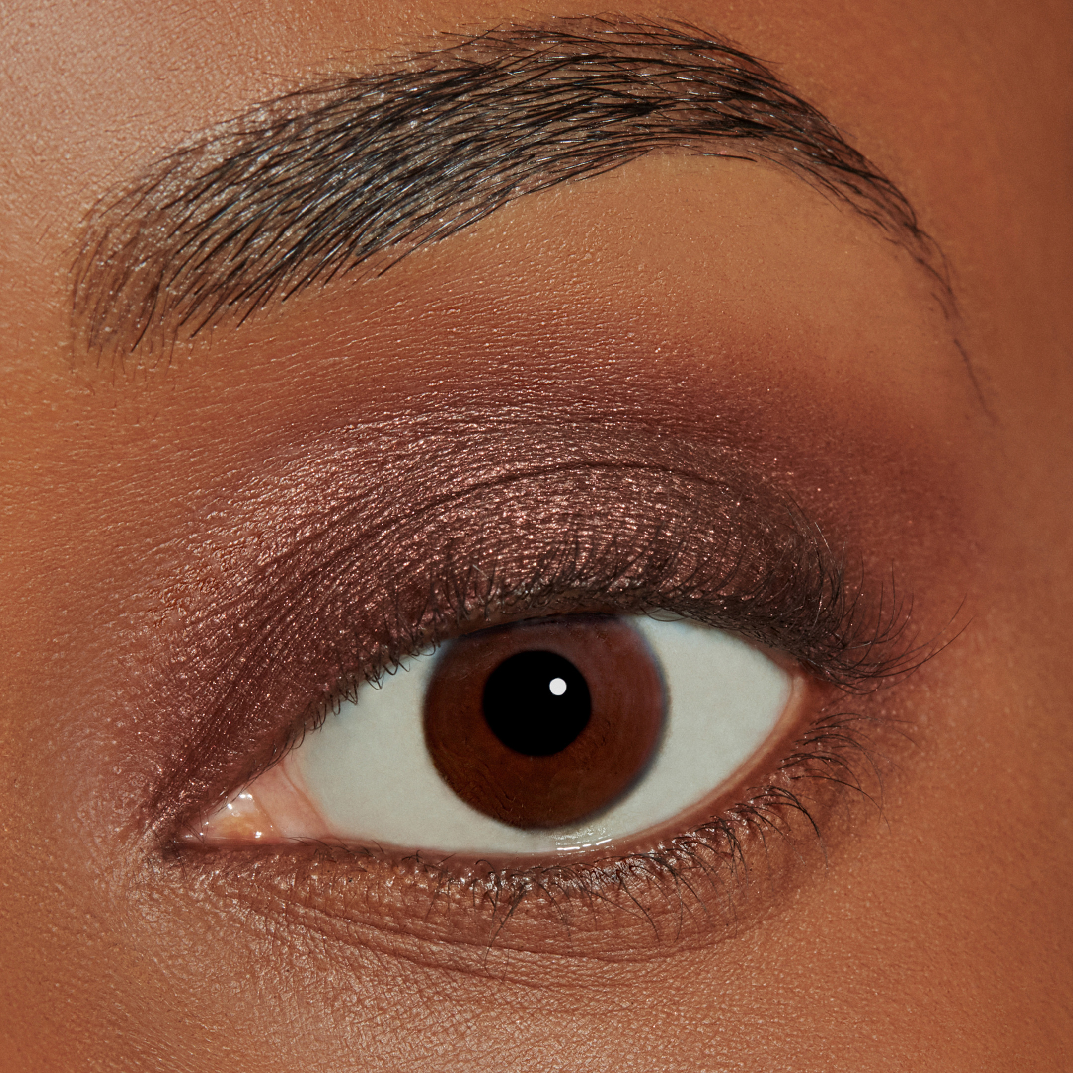 CHIC MONO EYESHADOW SHIMMER 4