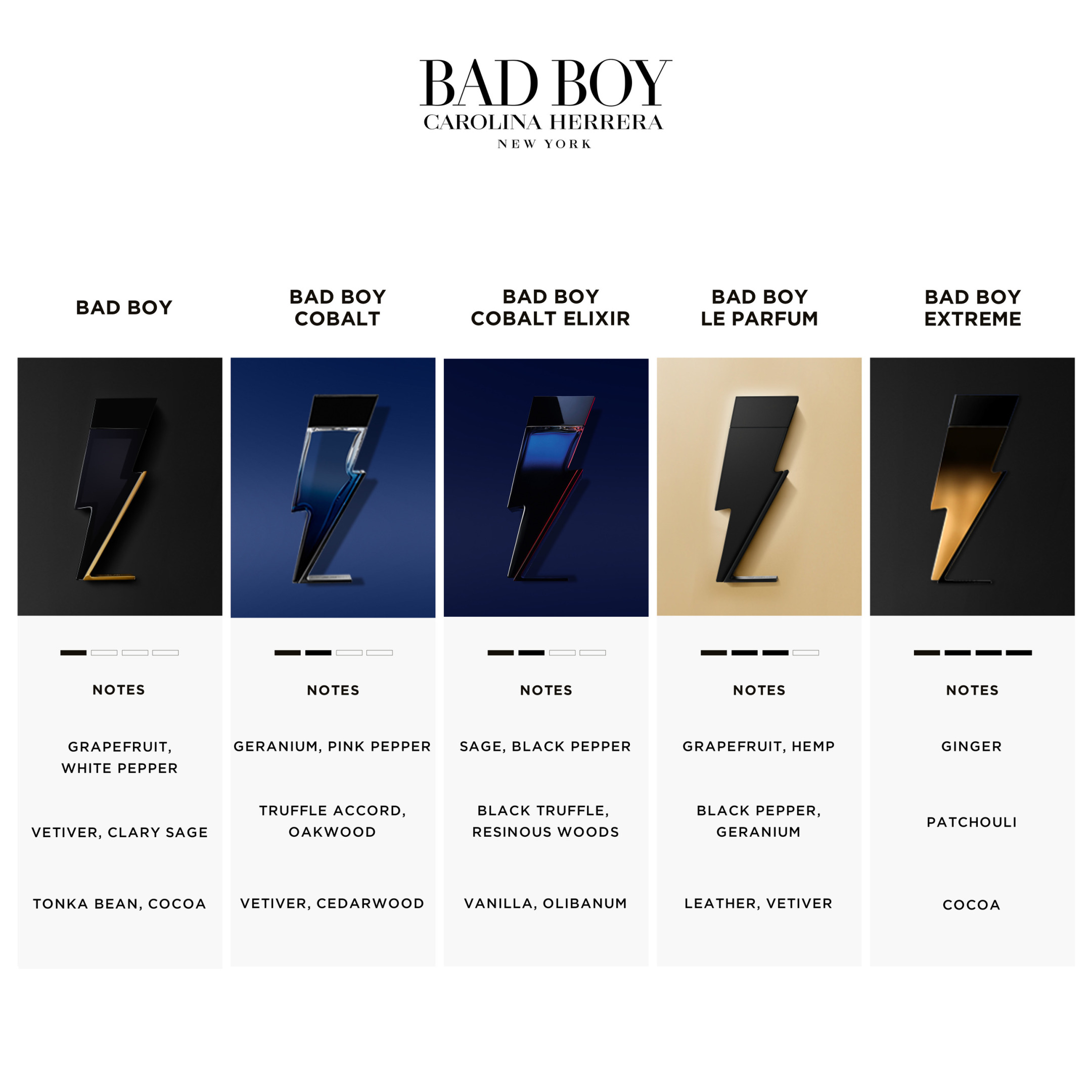 BAD BOY COBALT ELIXIR EAU DE PARFUM 4