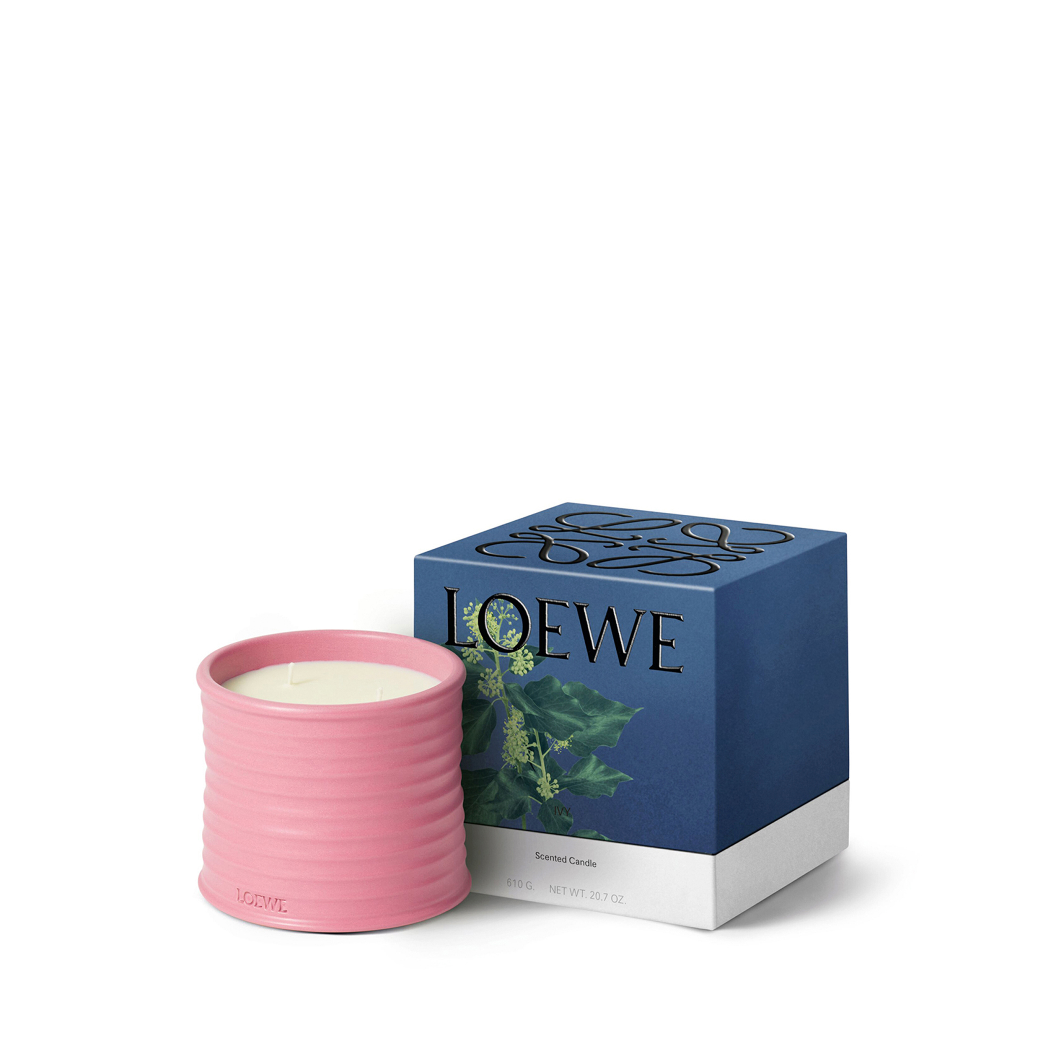 IVY  MEDIUM SCENTED CANDLE 1